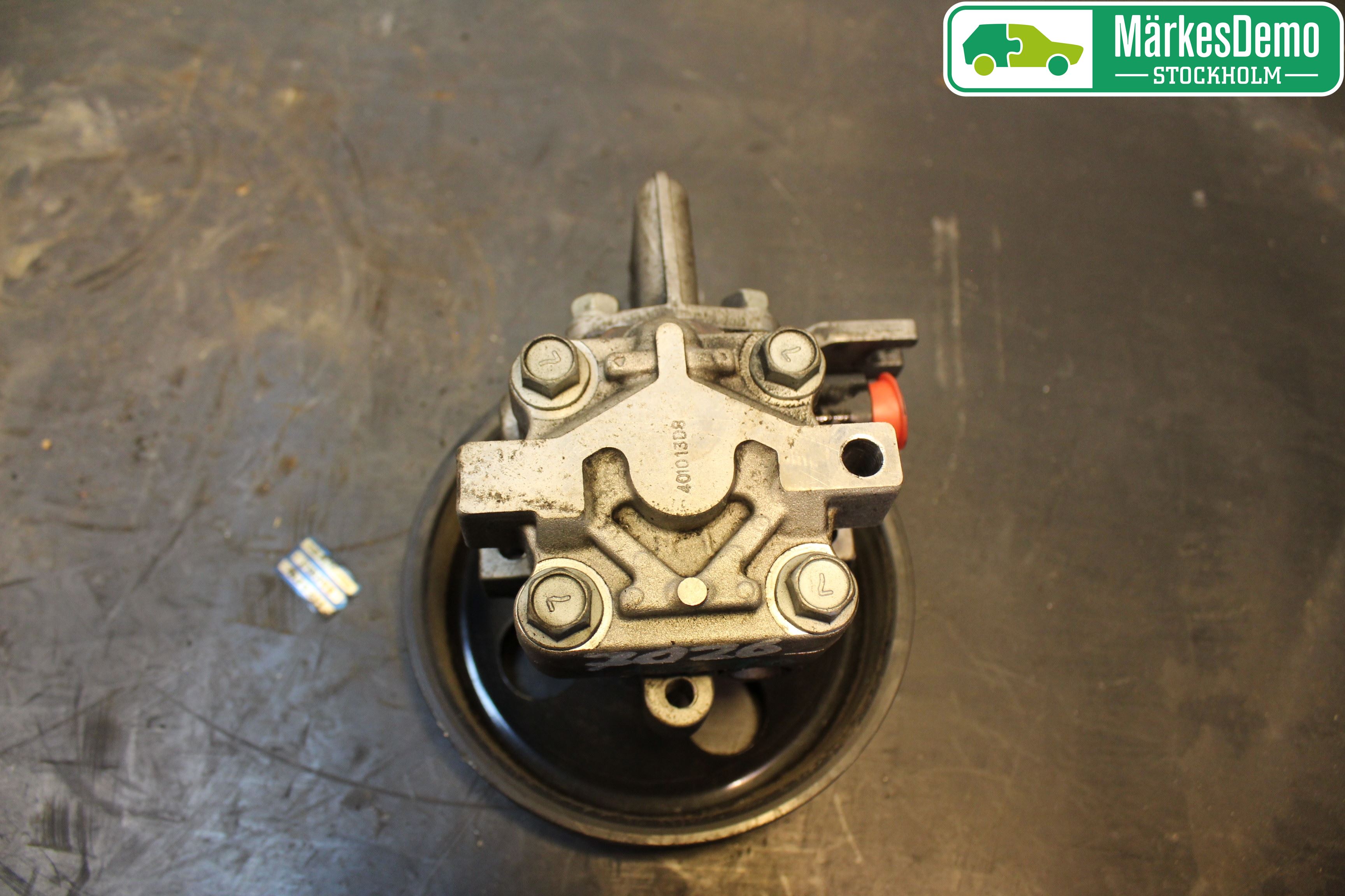 Hyundai SANTA FE  06-12 Servo Pumpe