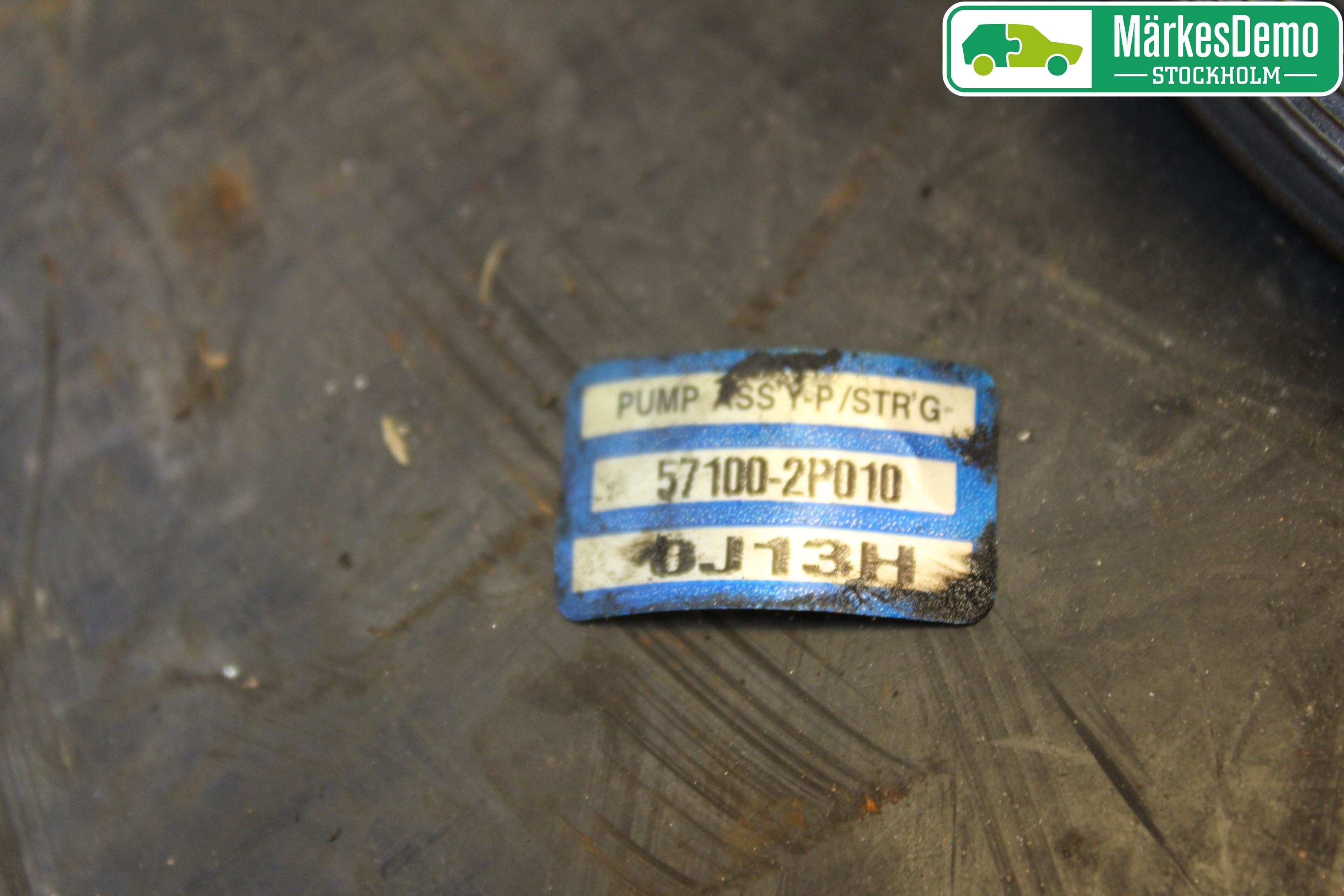 Hyundai SANTA FE  06-12 Servo Pumpe