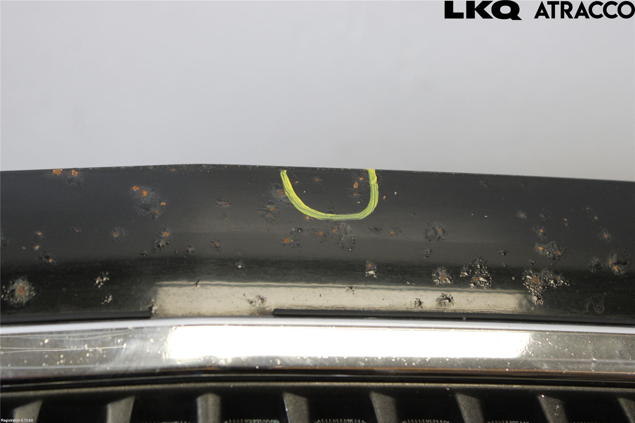 Lexus RX XU30 03-09 Panser