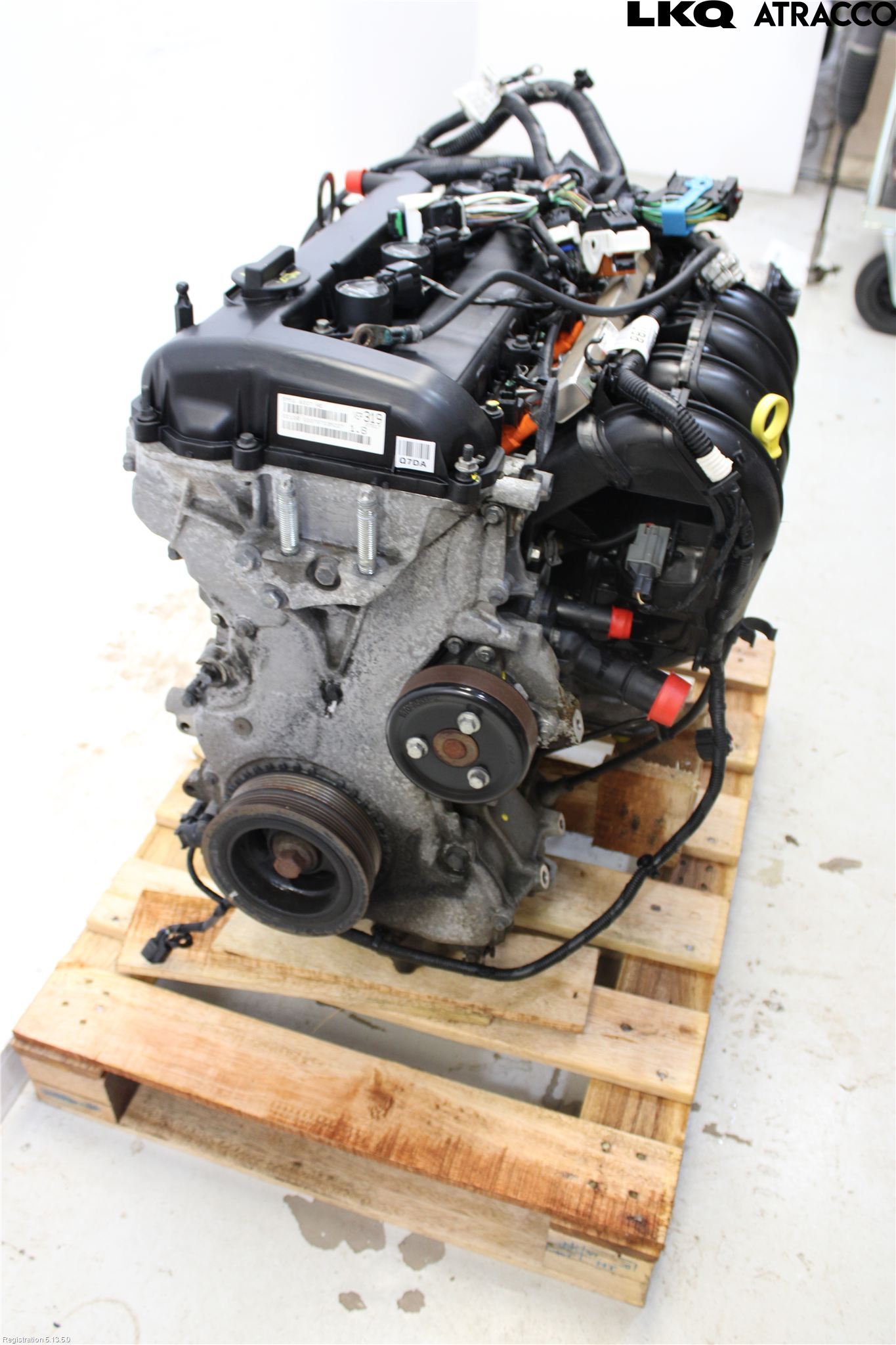 Ford FOCUS     04-07 Motor Bensin