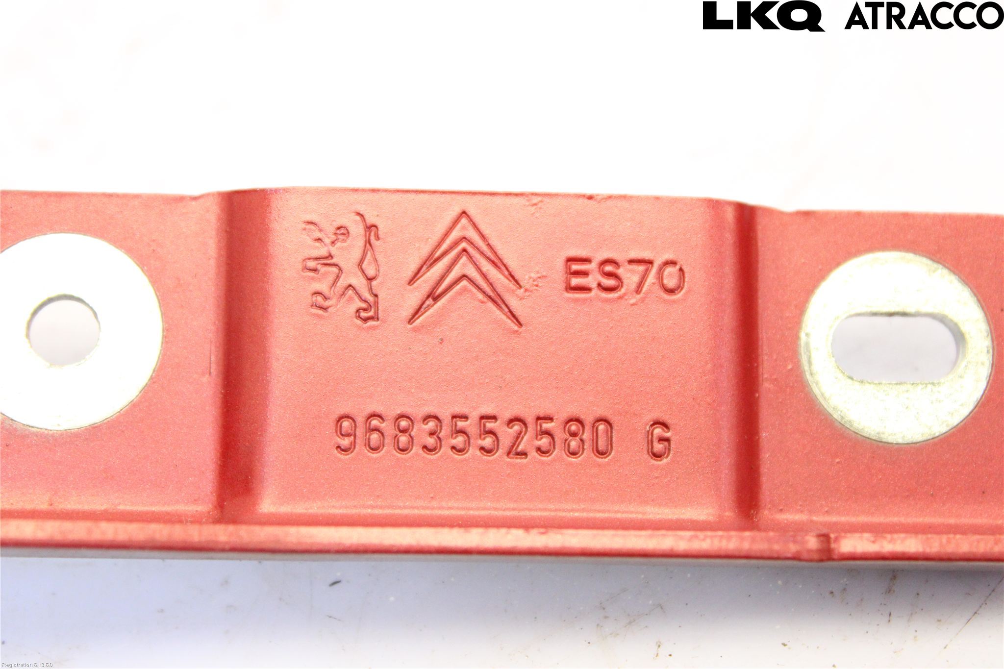 Citroen C3 10-17 Panser Hengsel - Hengsler