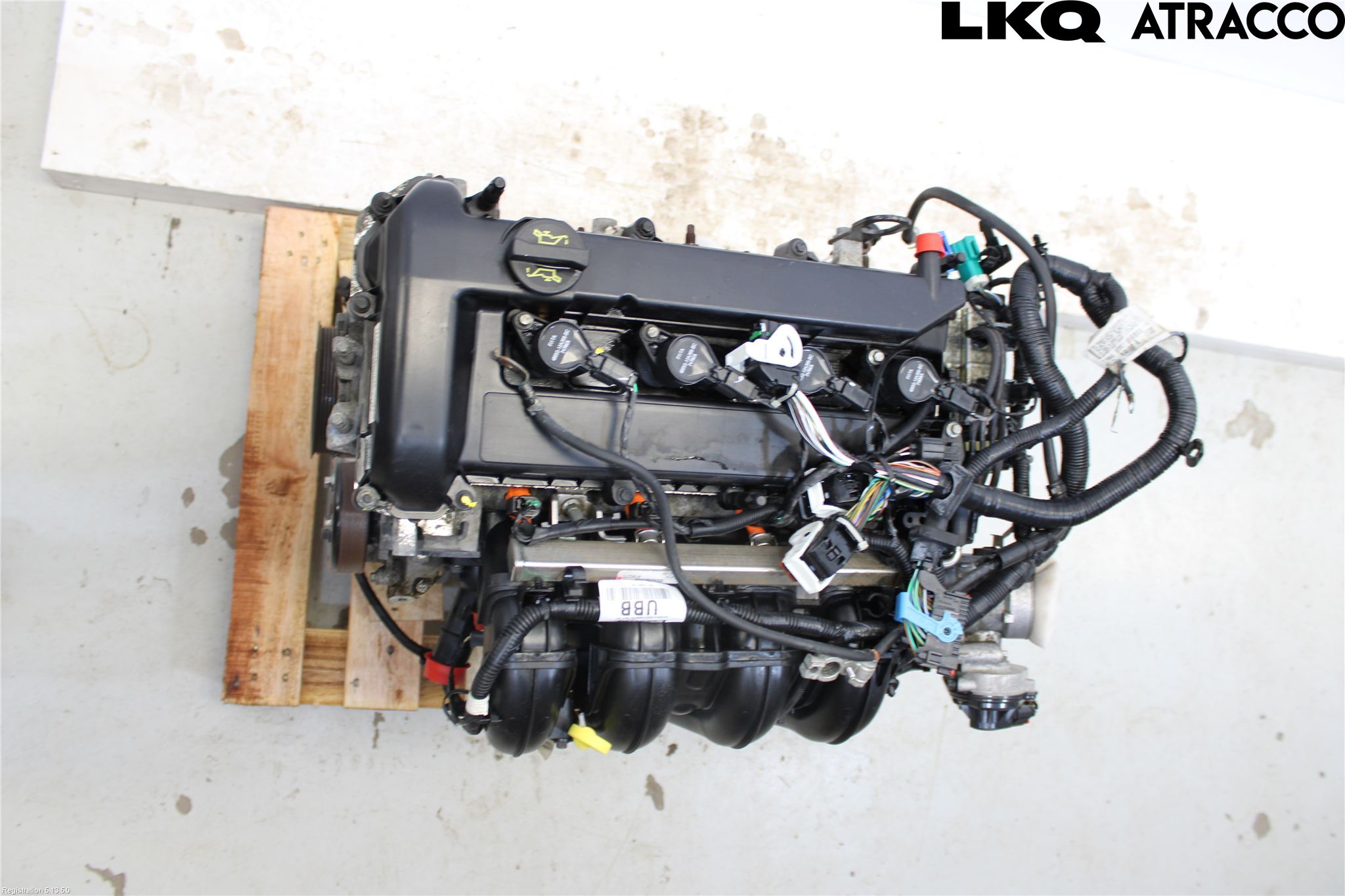 Ford FOCUS     04-07 Motor Bensin