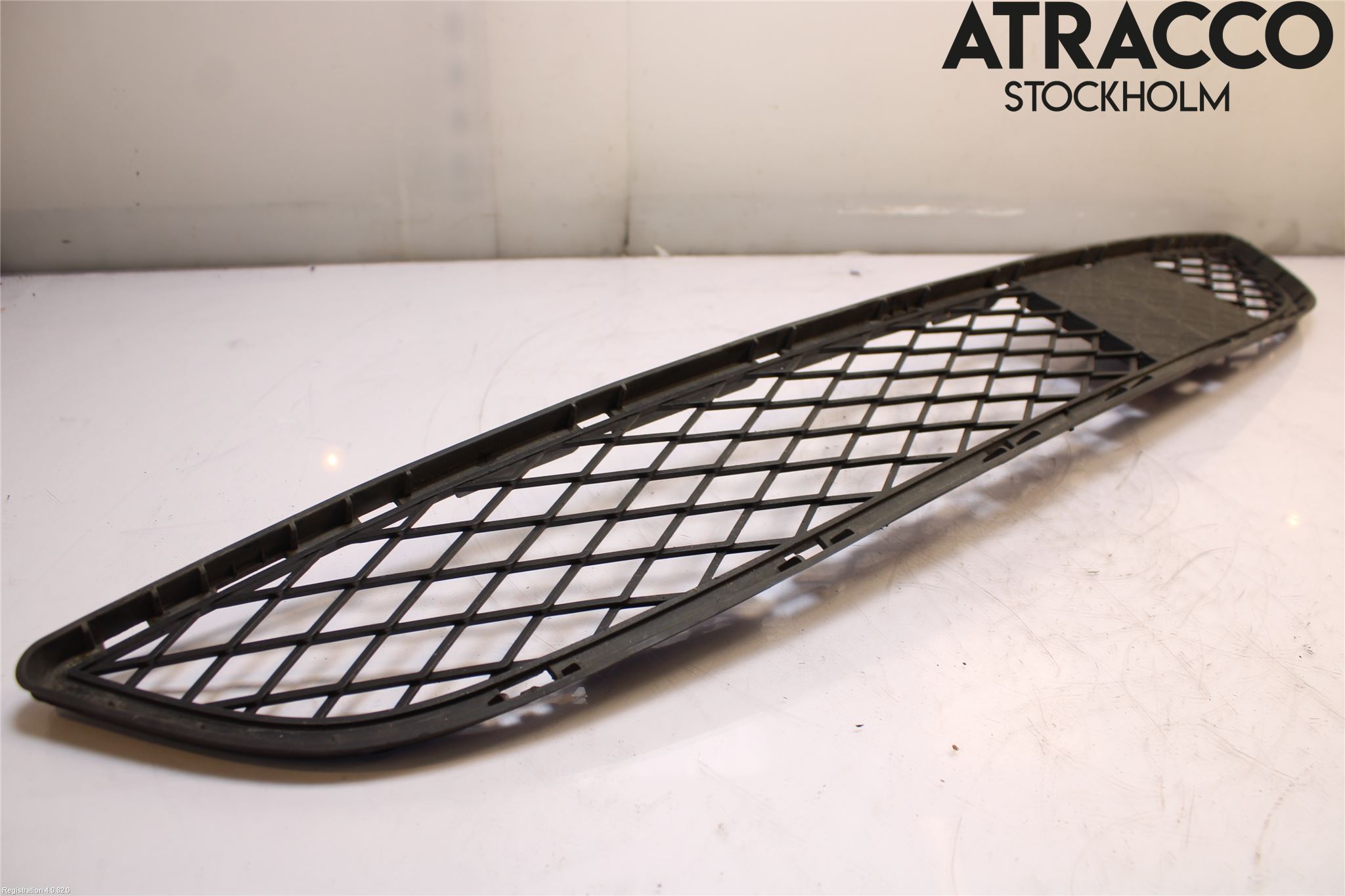 BMW X6 E71/E72   08-14 Grill-Gitter