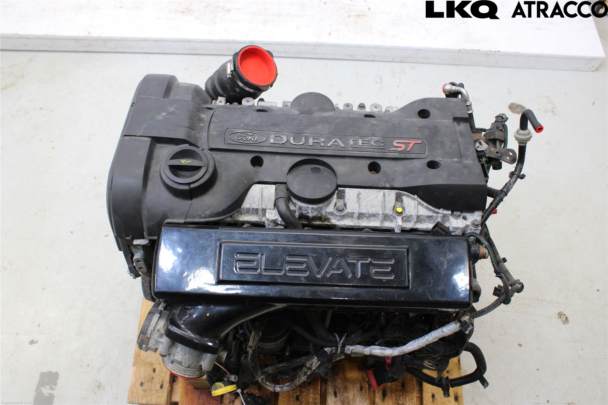 Ford FOCUS     04-07 Motor Bensin