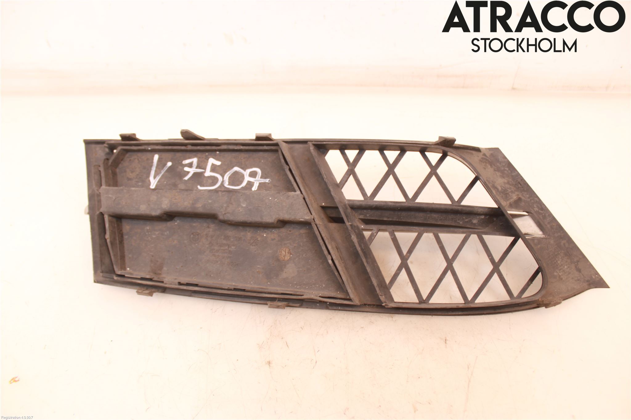 BMW 5 GT F07 09-17 Grill-Gitter