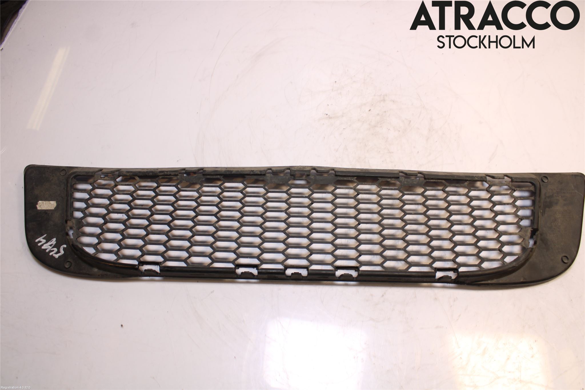 BMW X3 E83     03-10 Grill-Gitter