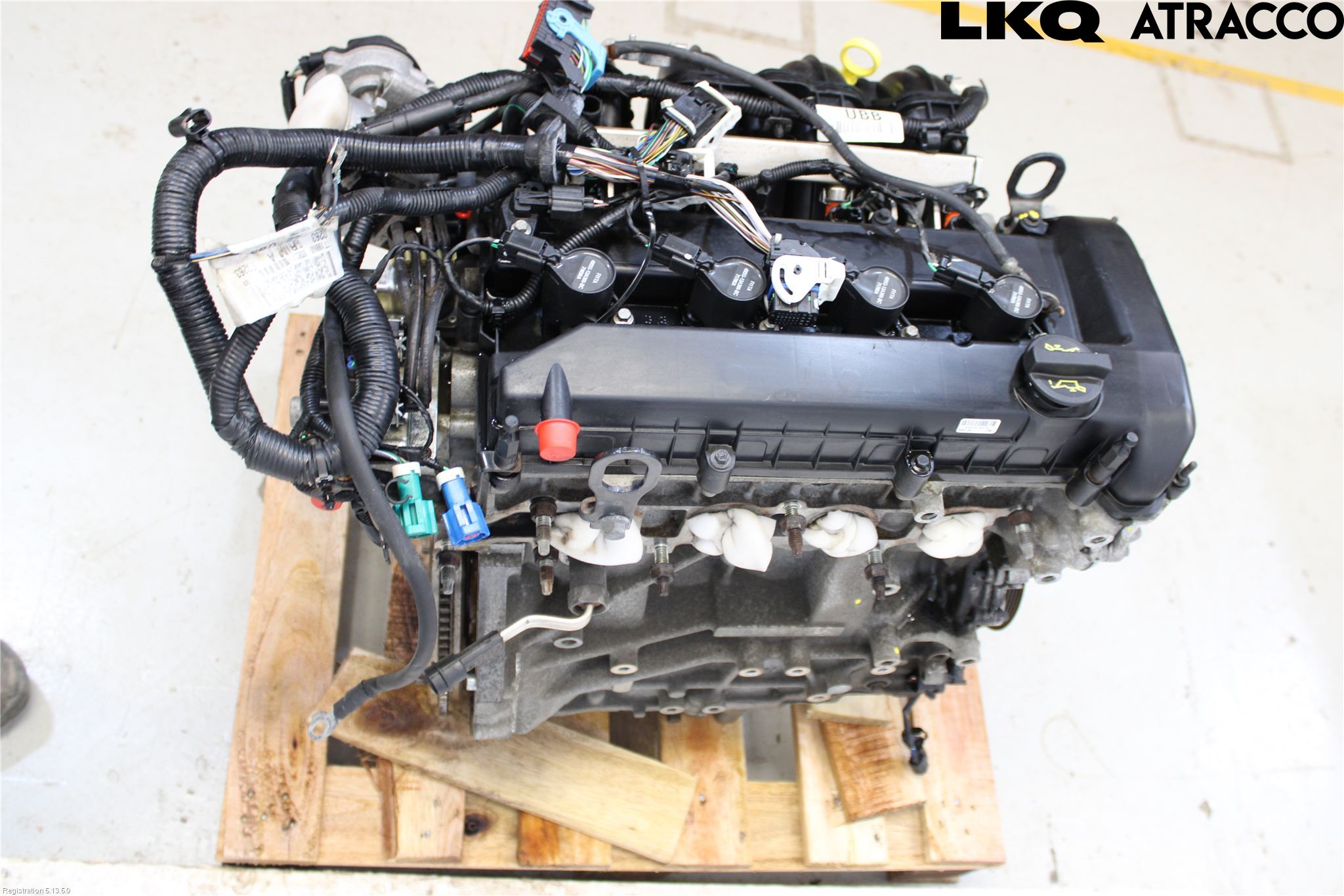 Ford FOCUS     04-07 Motor Bensin