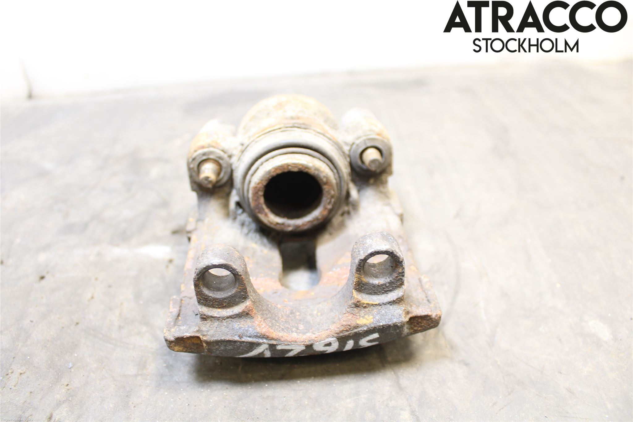 BMW 3 E90/91 SED/TOU 05-12 Bremsecaliper Bak Venstre