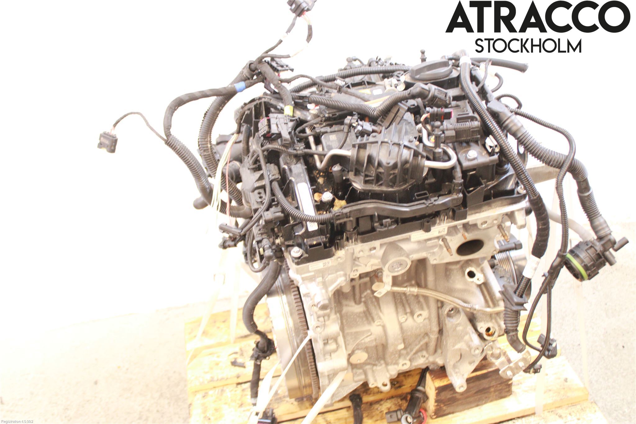 BMW X1/iX1 U11 23- Motor Bensin