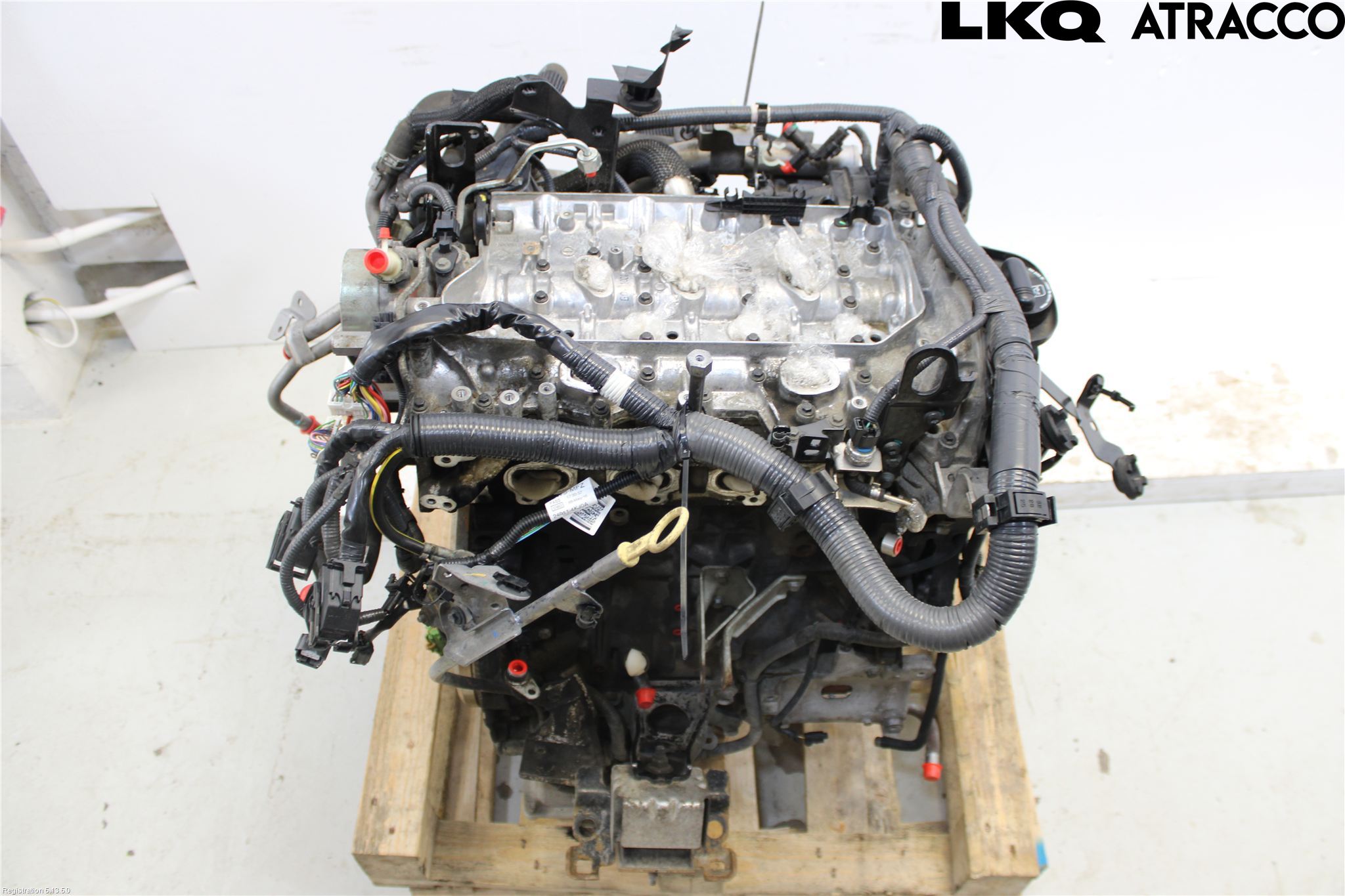 Nissan NAVARA 05-16 Motor Diesel