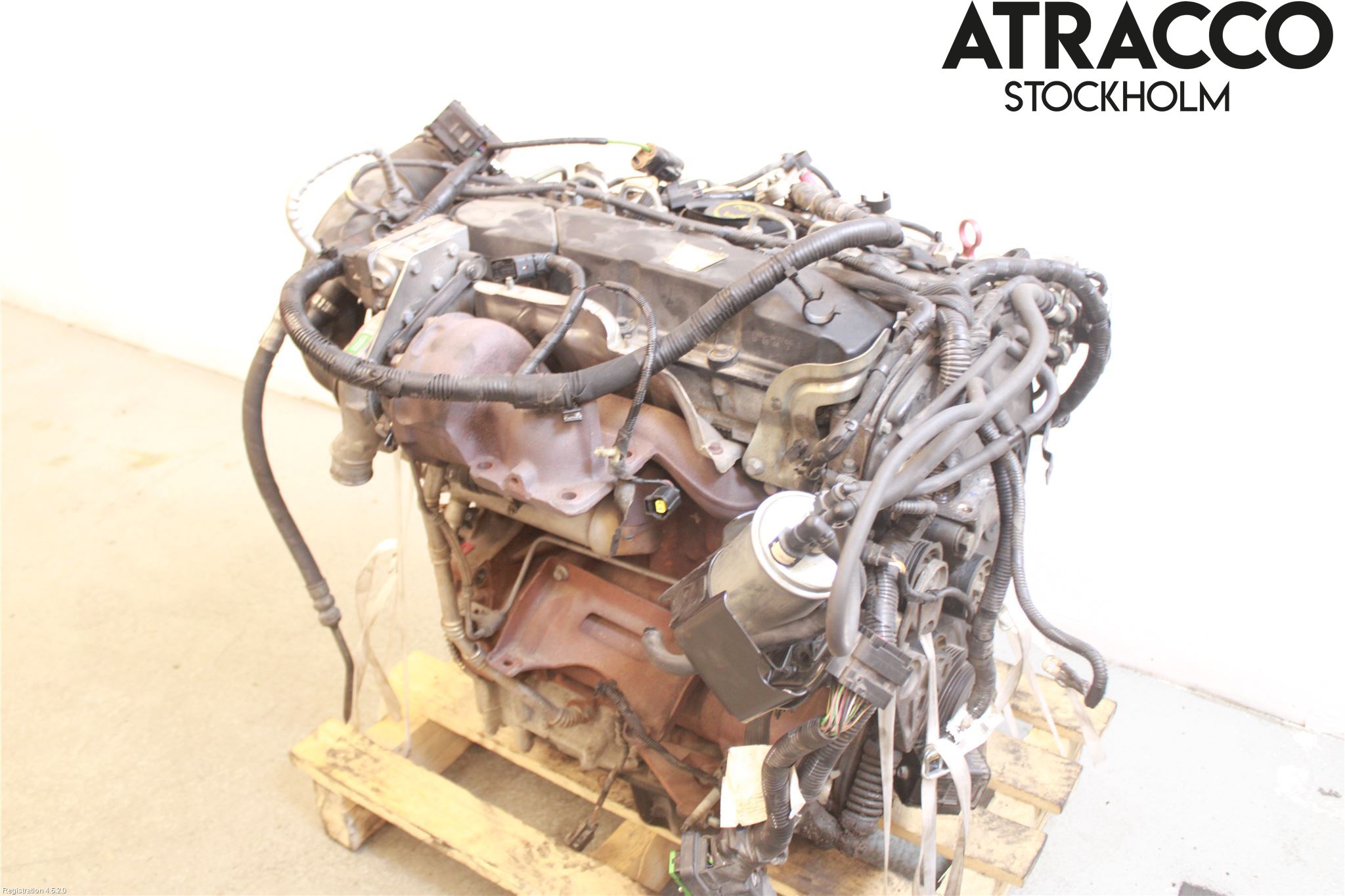 Jaguar X-TYPE Motor Diesel