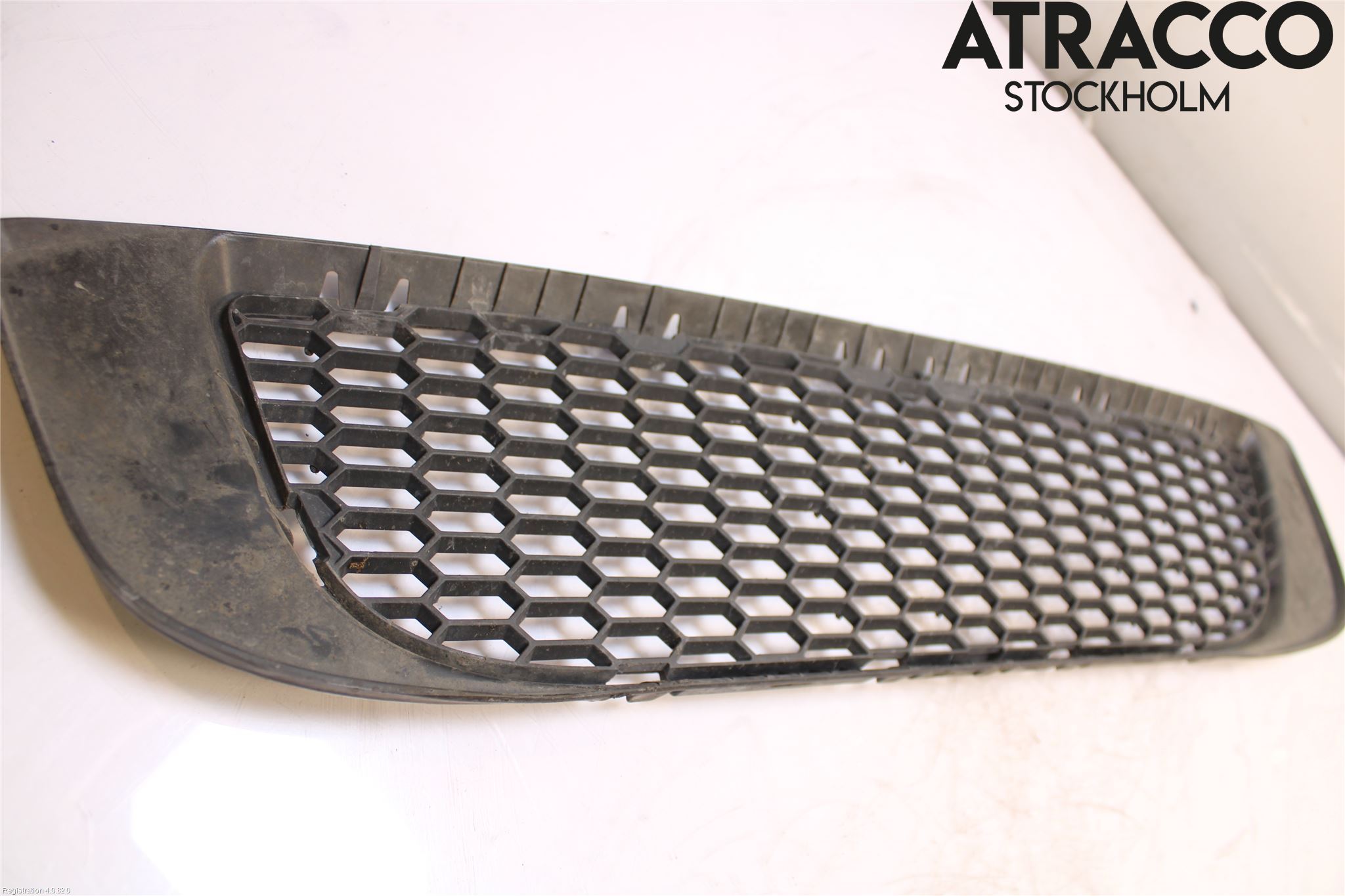 BMW X3 E83     03-10 Grill-Gitter