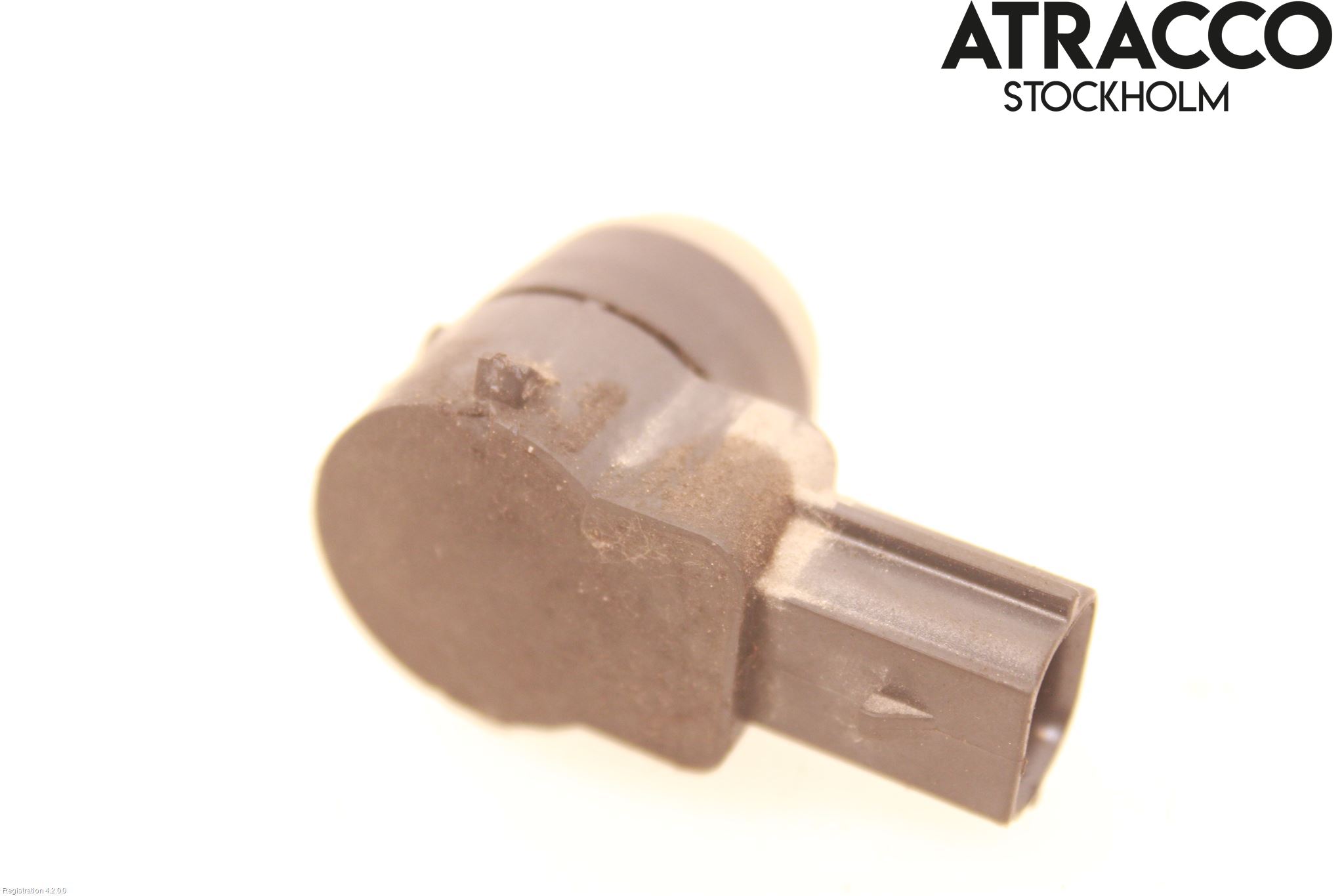Tesla MODEL S 13- Sensor Ryggesensor