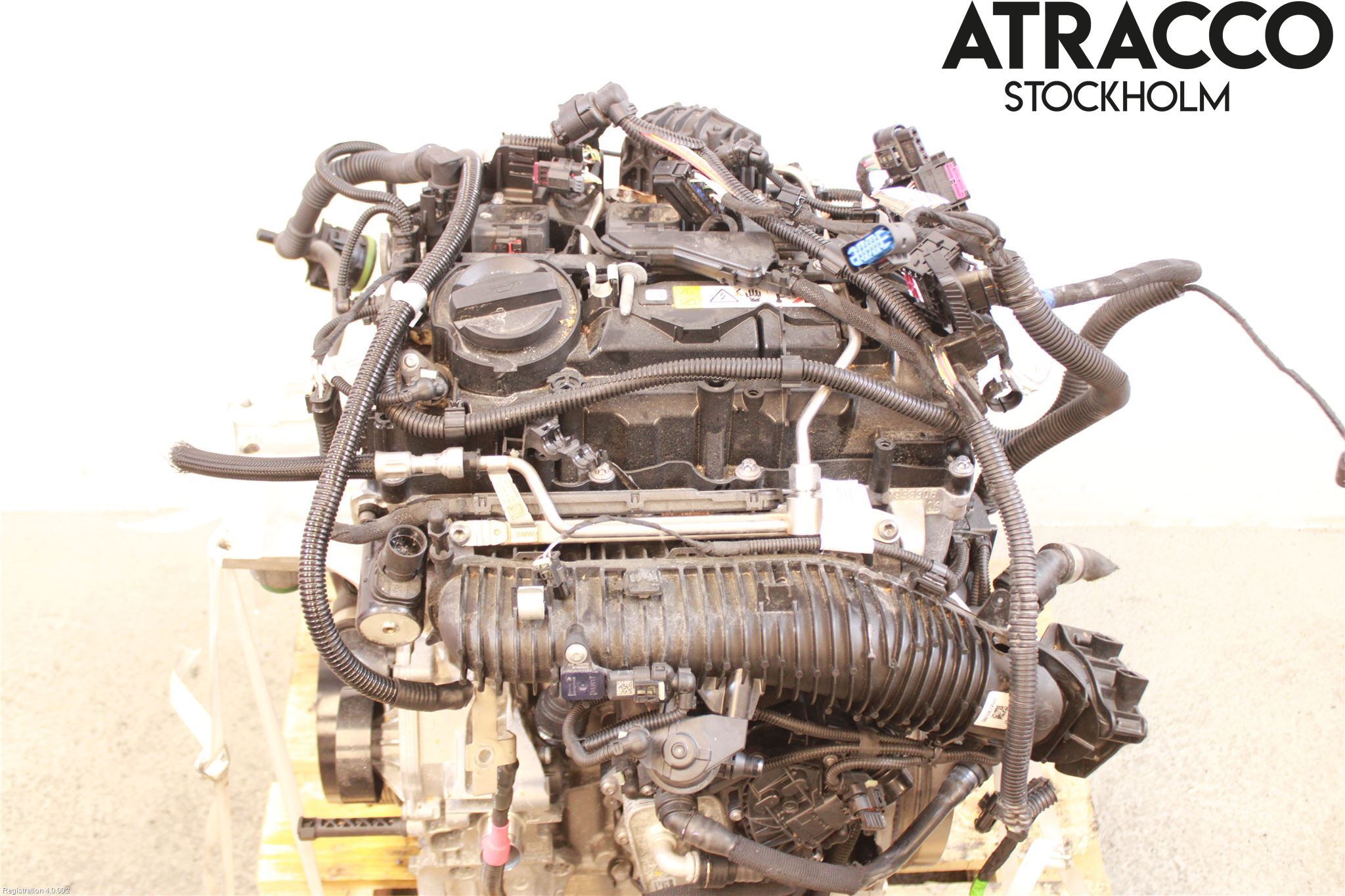 BMW X1/iX1 U11 23- Motor Bensin