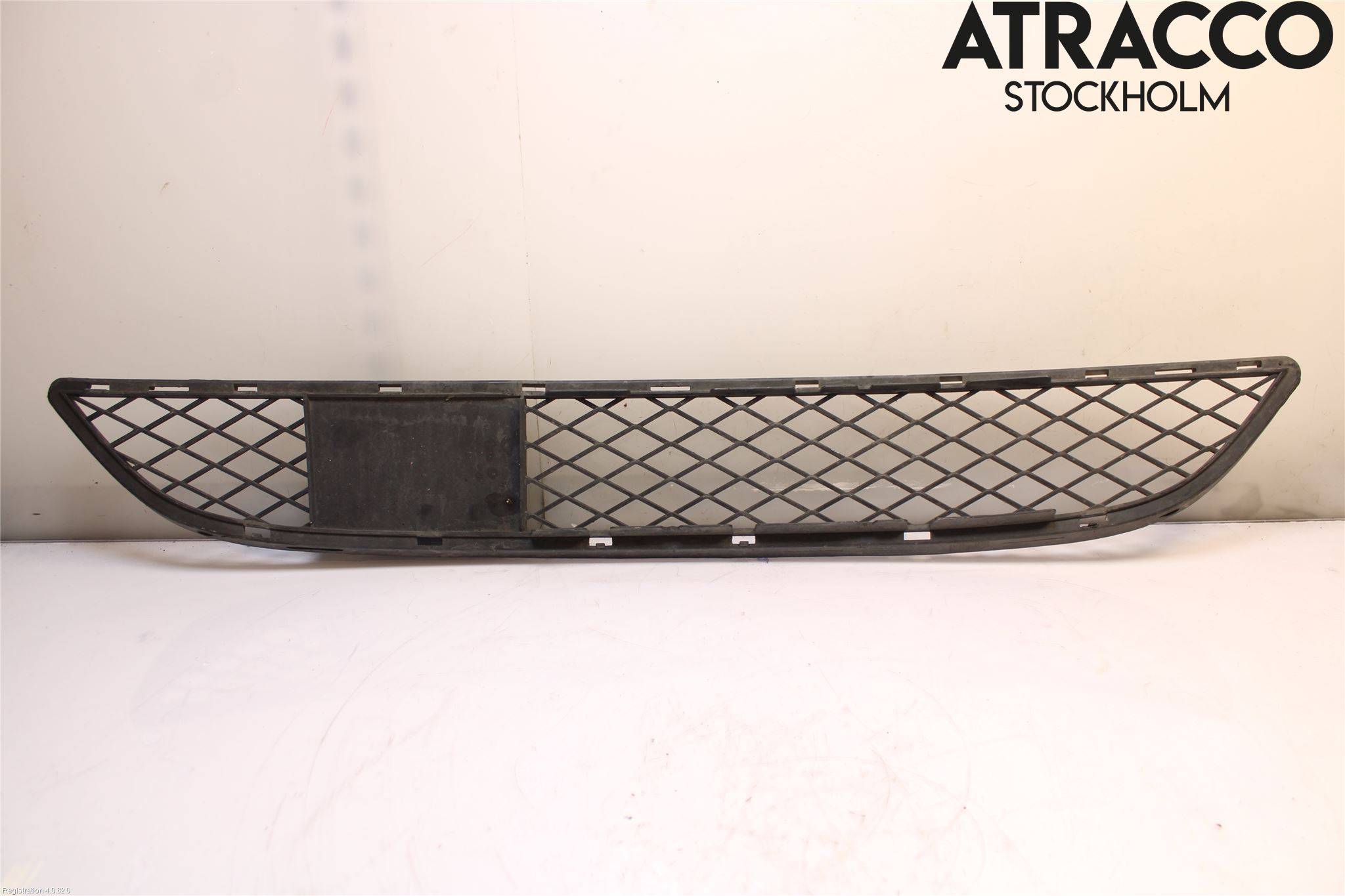 BMW X6 E71/E72   08-14 Grill-Gitter
