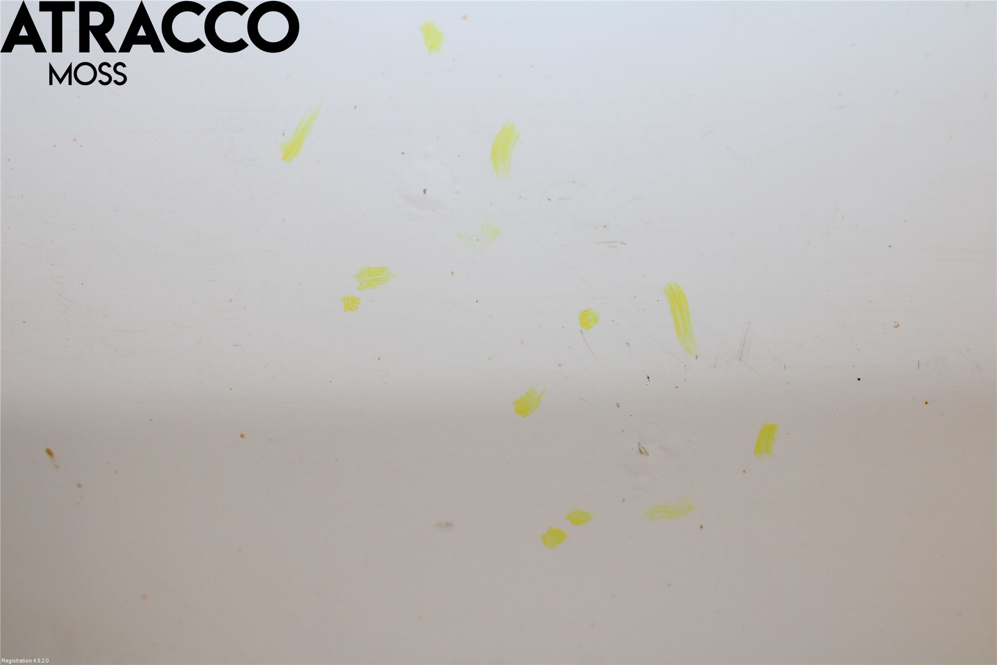 Ford TRANSIT CONNECT 03-08 Dør Bak Van - Vare Høyre