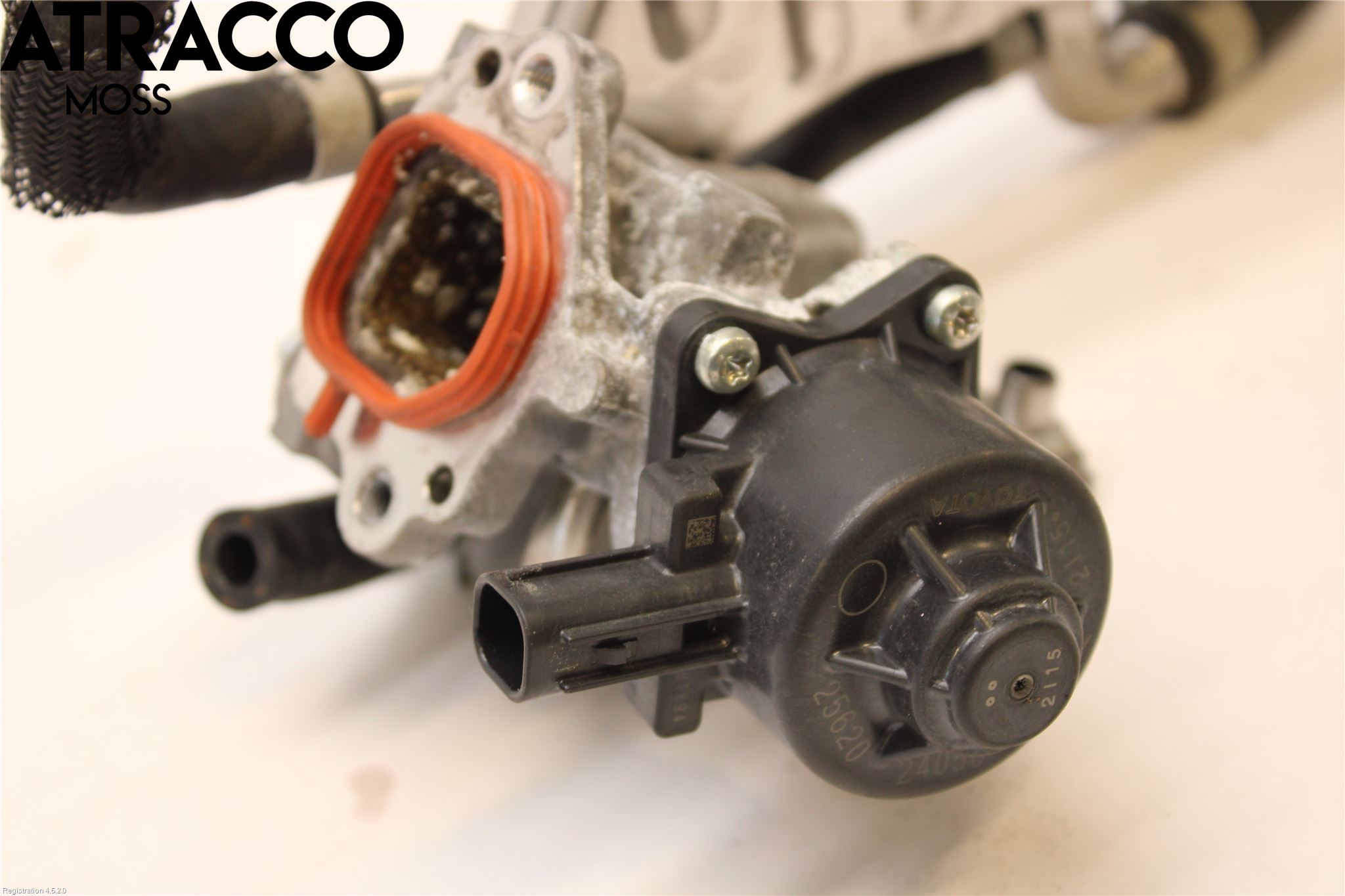 Toyota RAV4 19- Eksos Kjøler