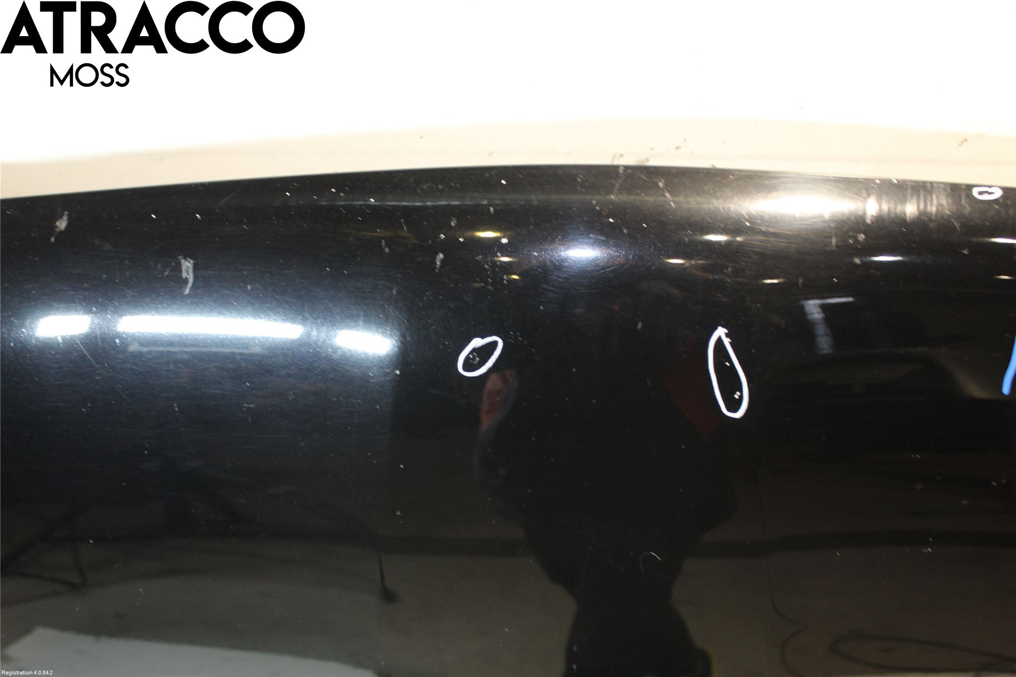 Toyota RAV 4 06-12 Panser