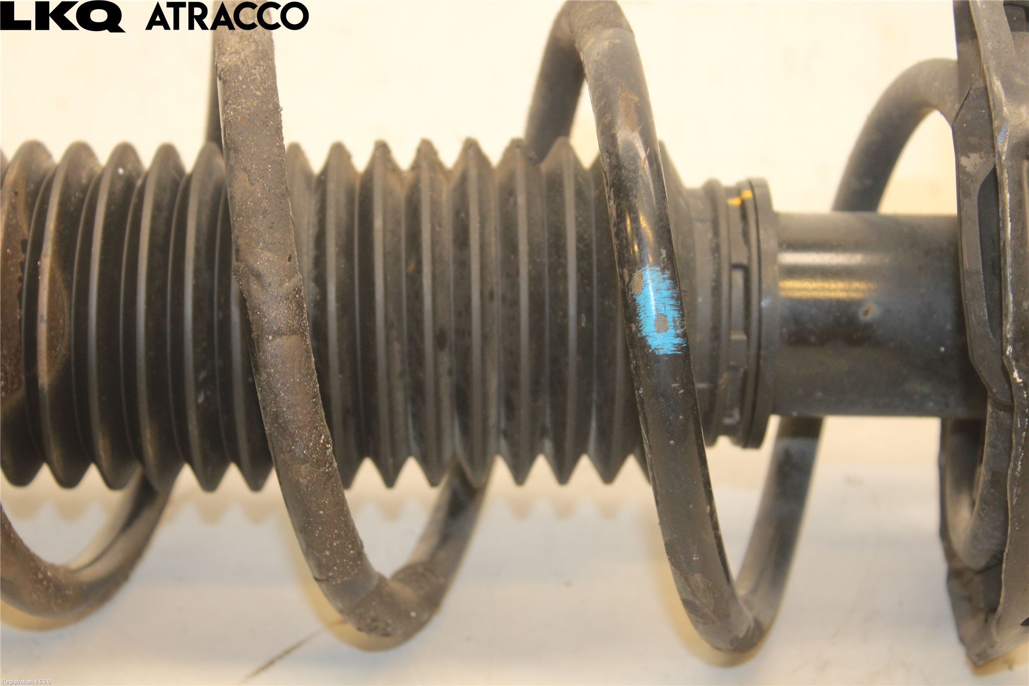 MG 4 23- Fjærbein Foran Høyre