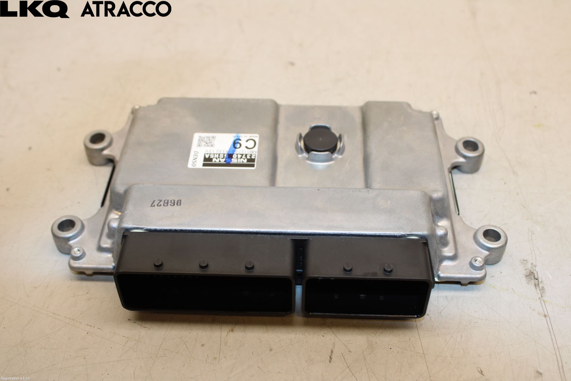 Nissan LEAF 18- Styreenhet Innsprøytning