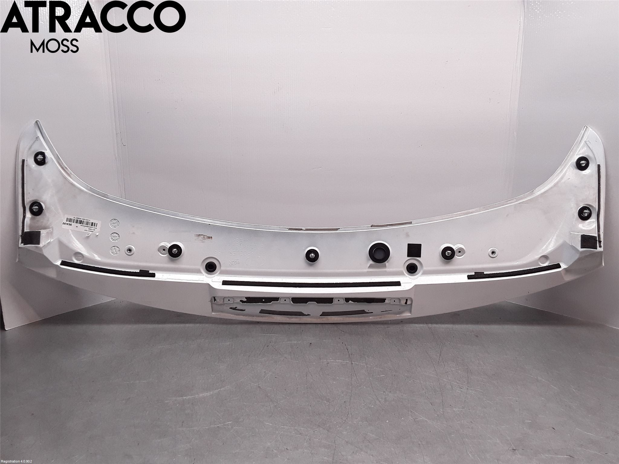 Hyundai IONIQ AE 17-22 Spoiler Bakluke