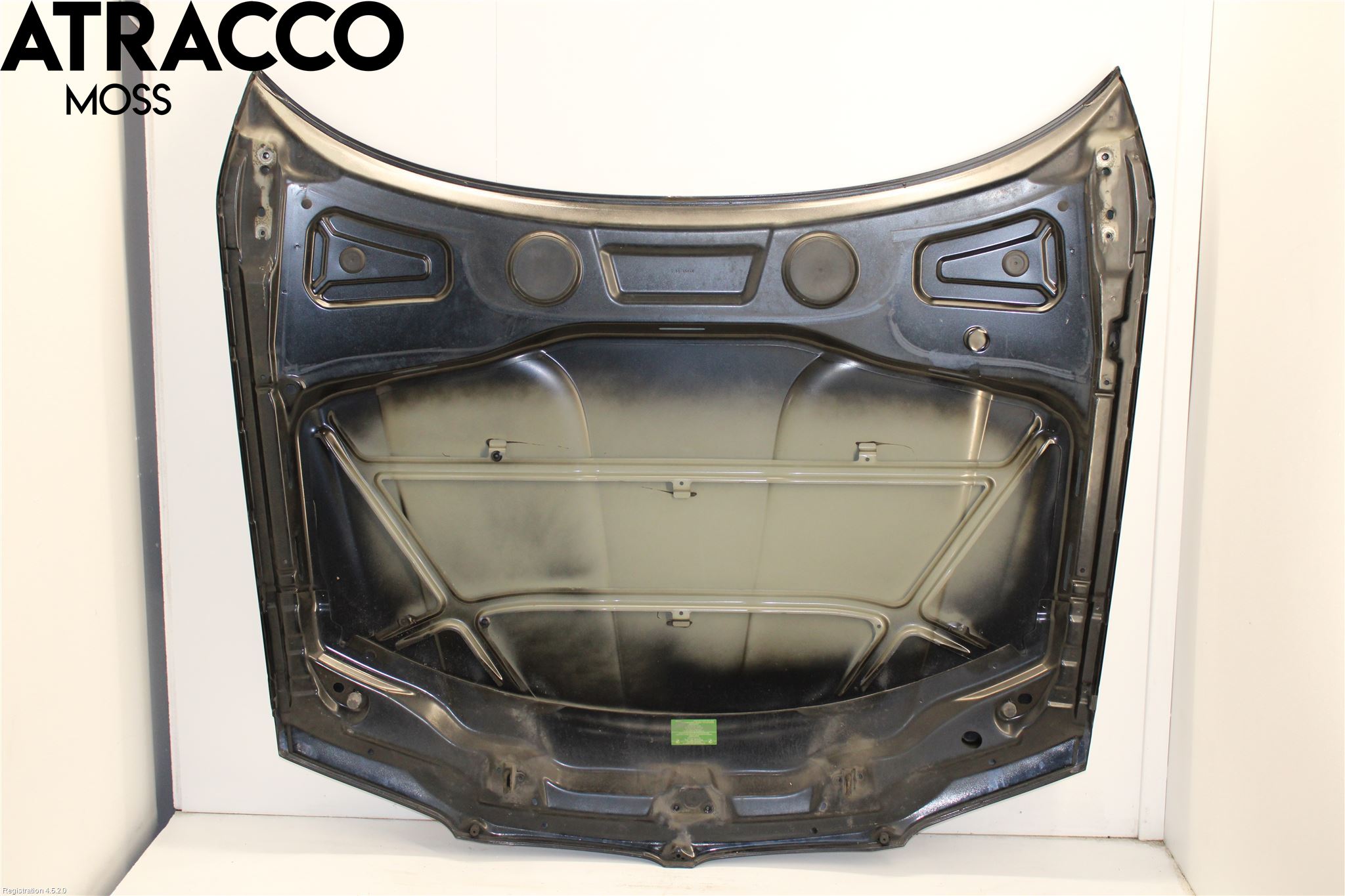 BMW X3 E83     03-10 Panser