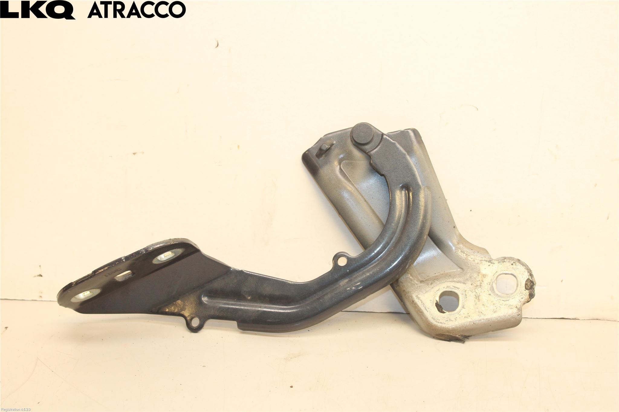 Ford FOCUS 11-14 Panser Hengsel - Hengsler