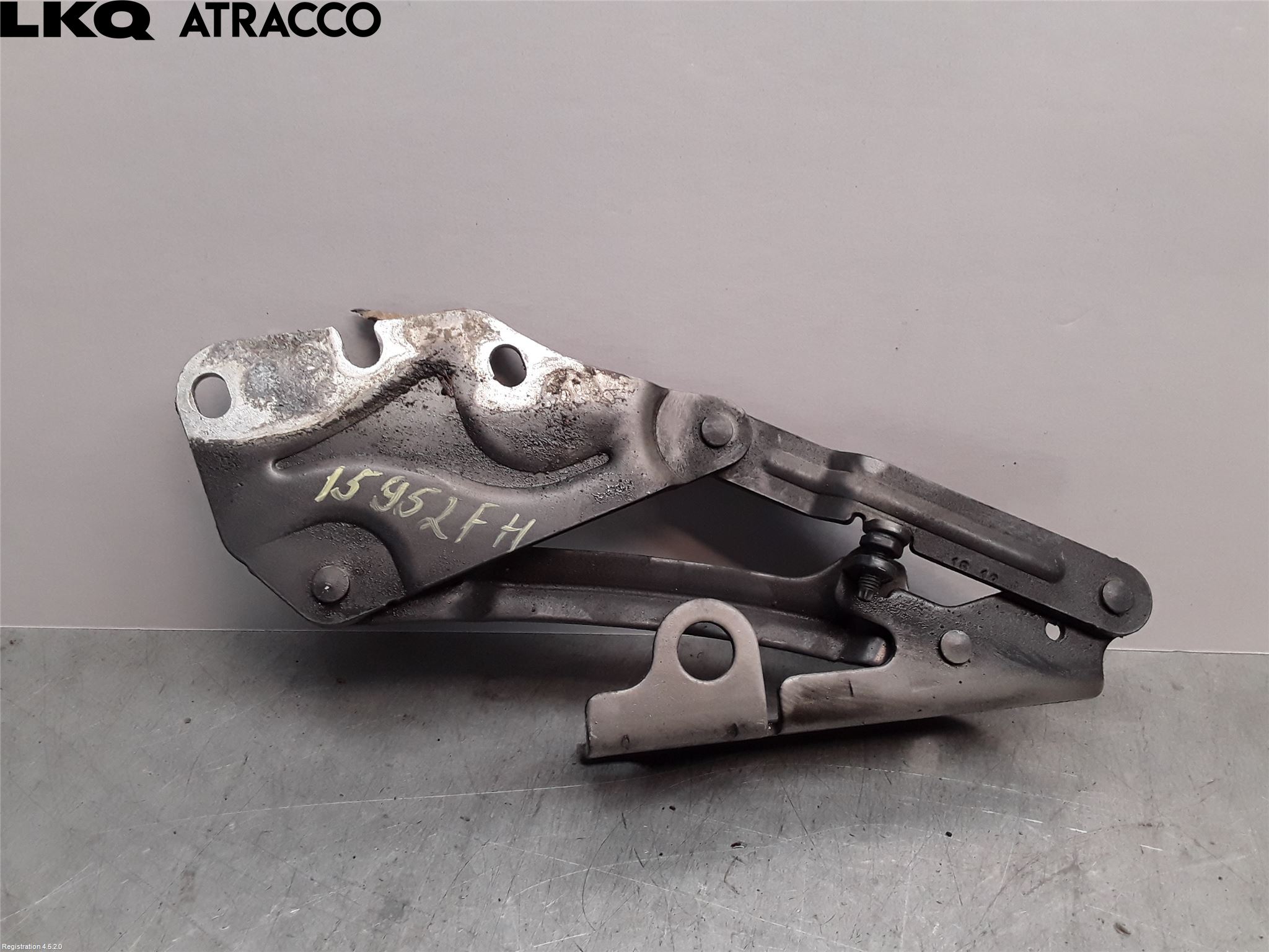 Volkswagen VW GOLF PLUS/CROSS GOLF 04-14 Panser Hengsel - Hengsler