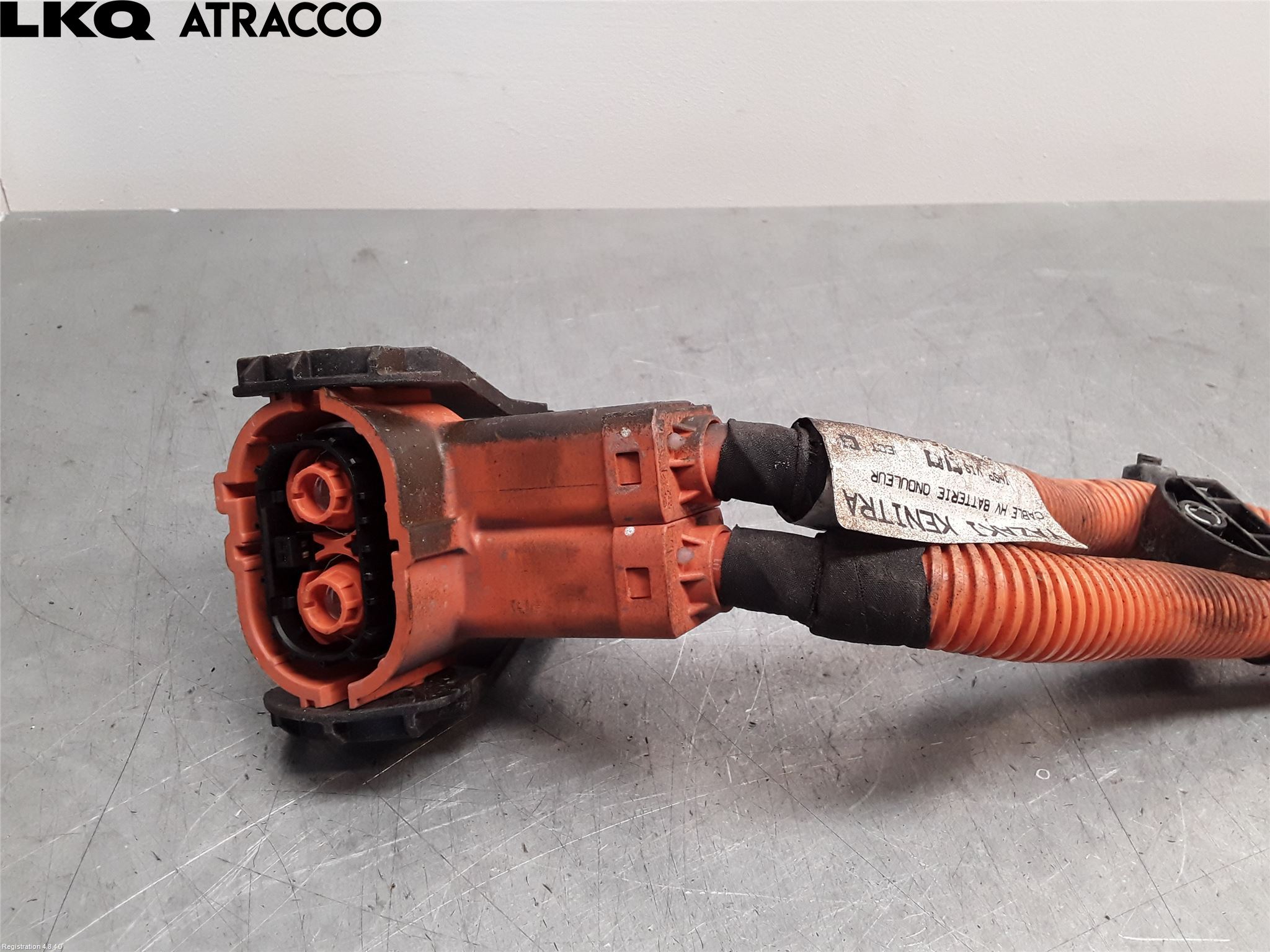 Citroen C4/E-C4 C4X/E-C4X III 21- Ledningsnett