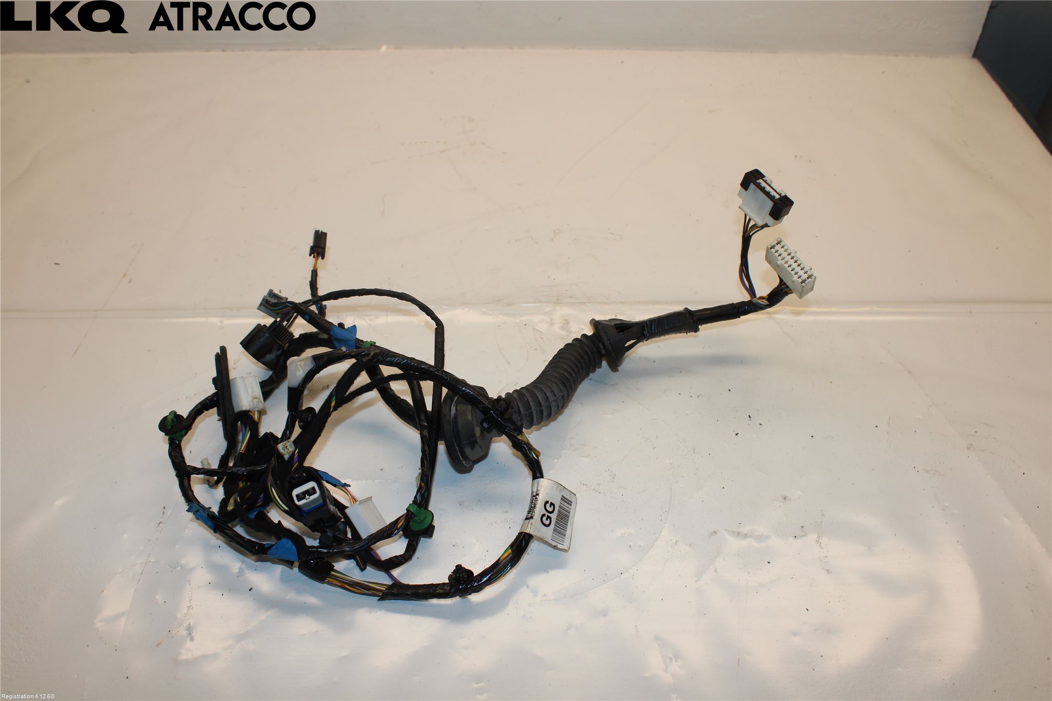 Ford RANGER EU 12-23 Ledningsnett