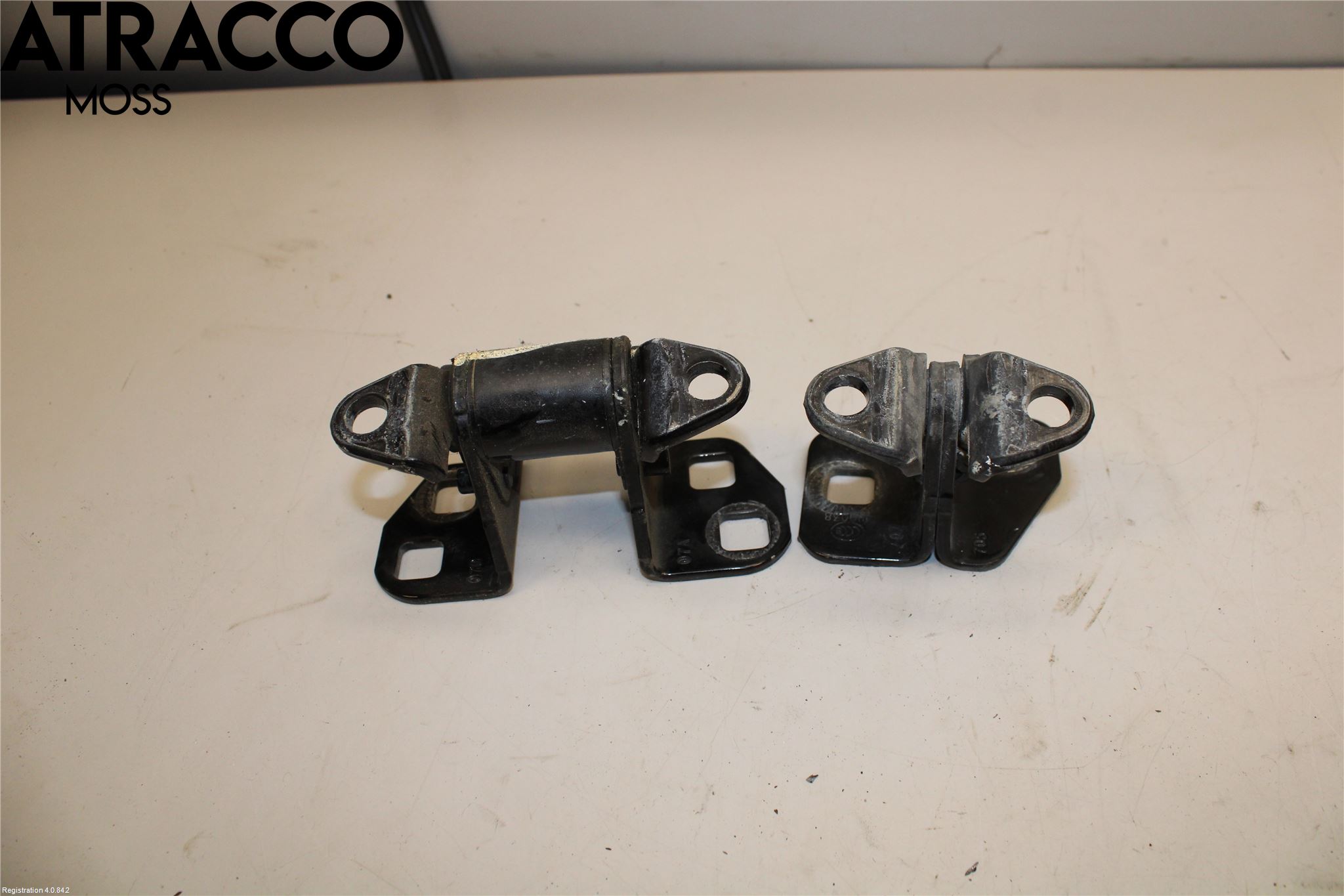 Tesla MODEL S 13- Dørhengsel