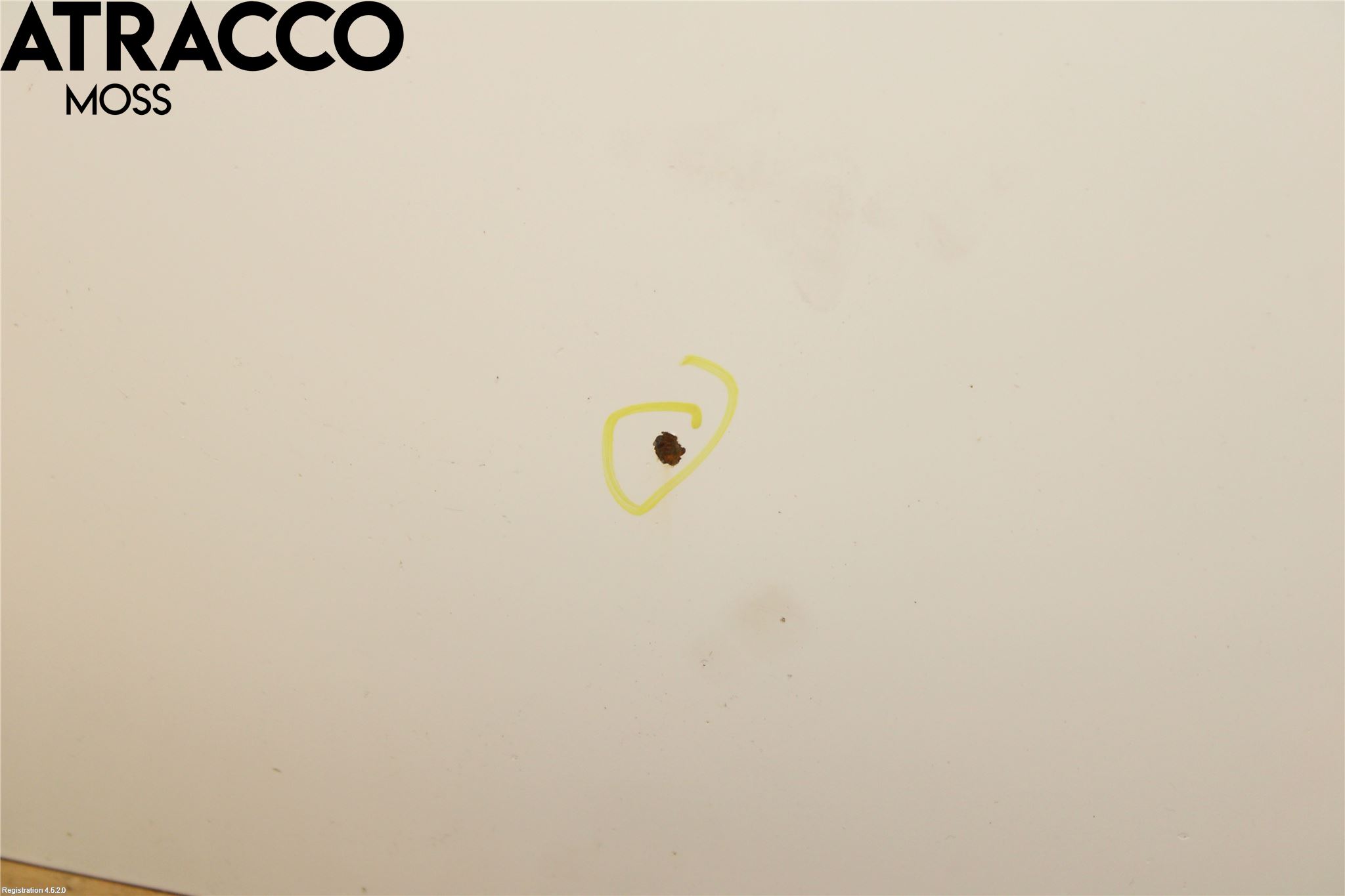 Ford GALAXY 06-15 Panser