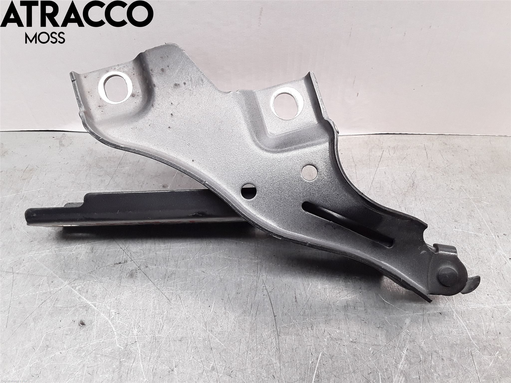 Volkswagen VW PASSAT 20-24 Panser Hengsel - Hengsler