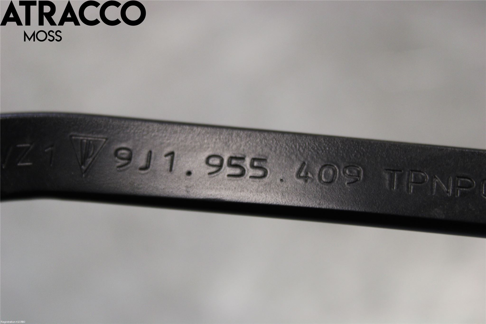 Porsche TAYCAN 20- Viskerarm-Armer Frontrute