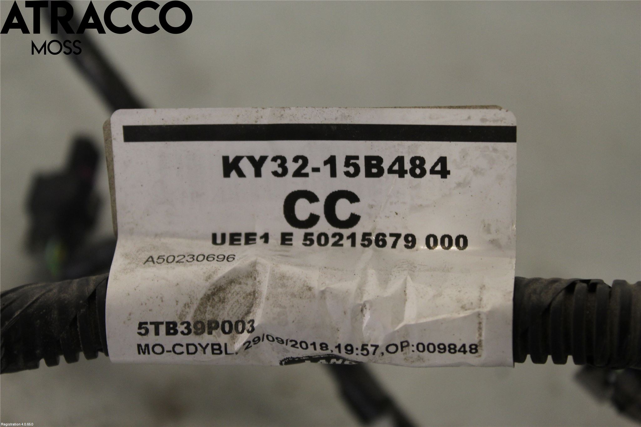 Landrover RANGE ROVER (L460) 22- Ledningsnett