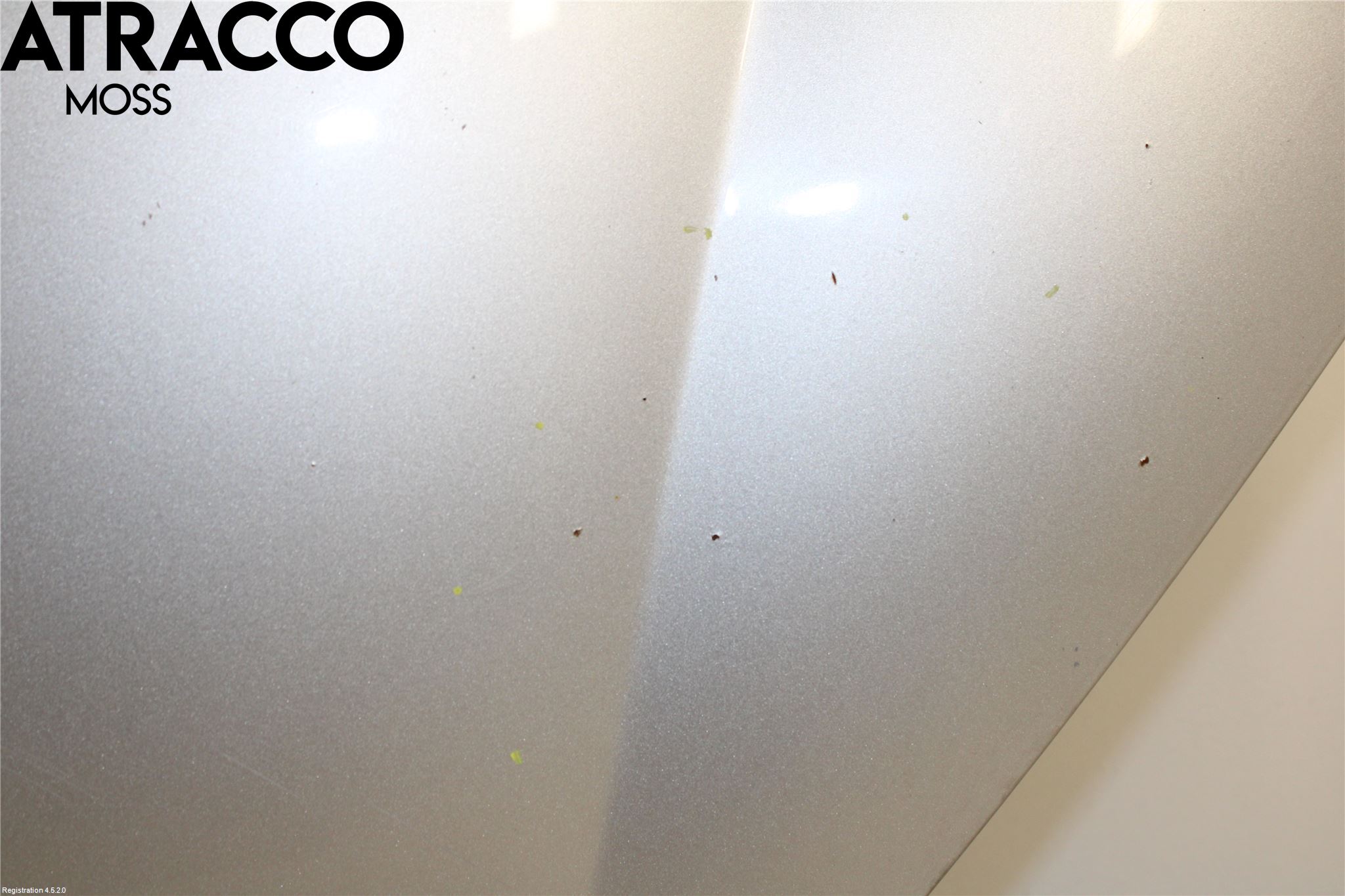 Volkswagen VW GOLF VI 09-13 Panser