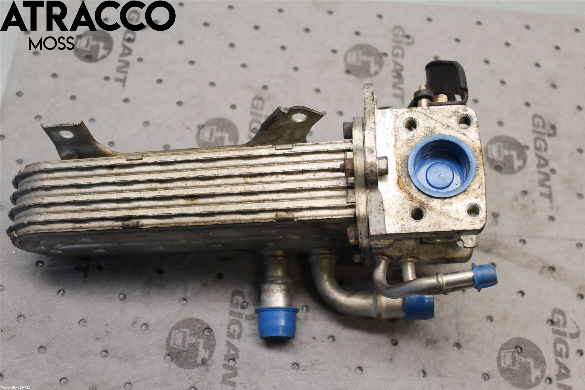 Volkswagen VW GOLF V 04-09 Eksos Kjøler