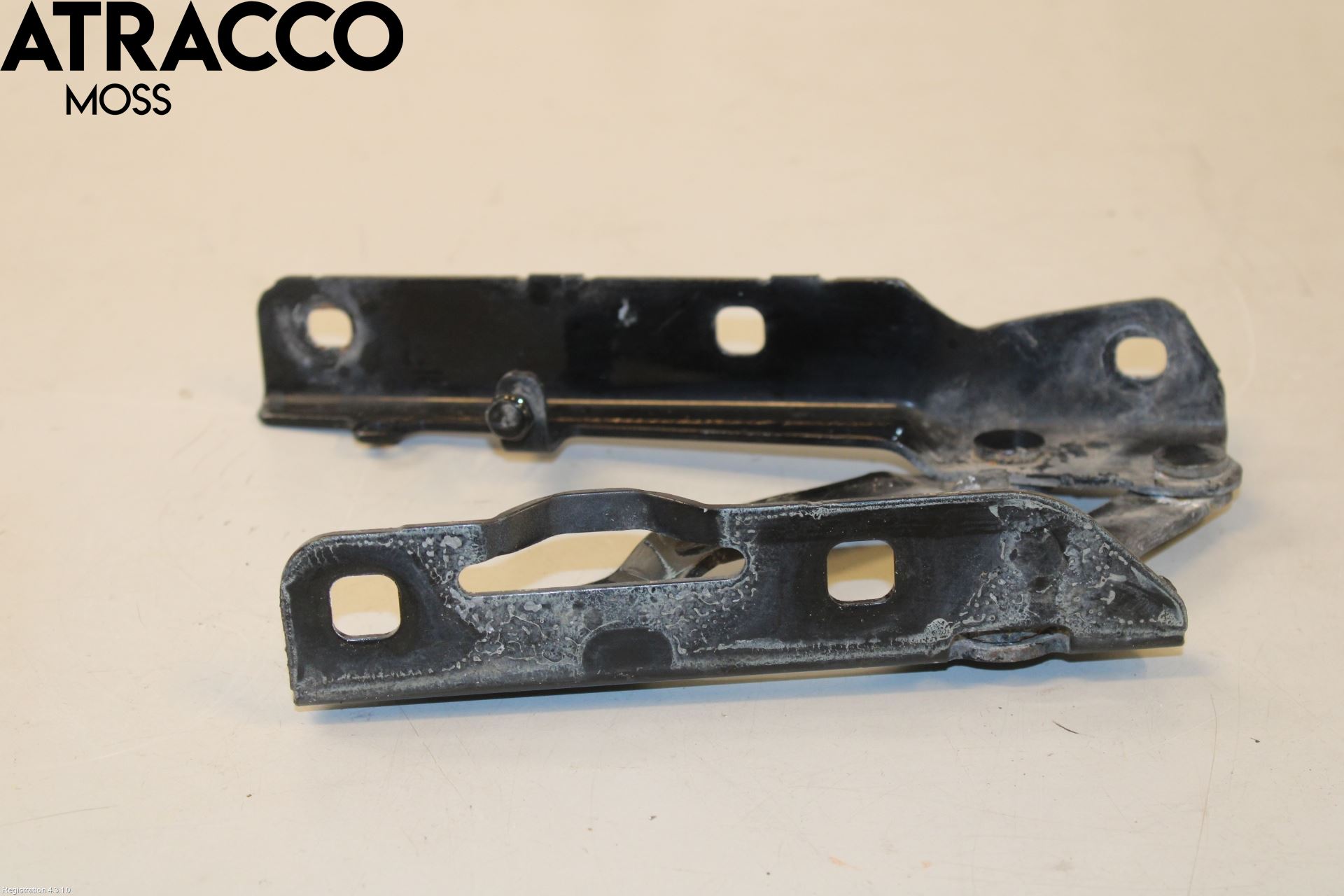 Tesla MODEL S 13- Panser Hengsel - Hengsler