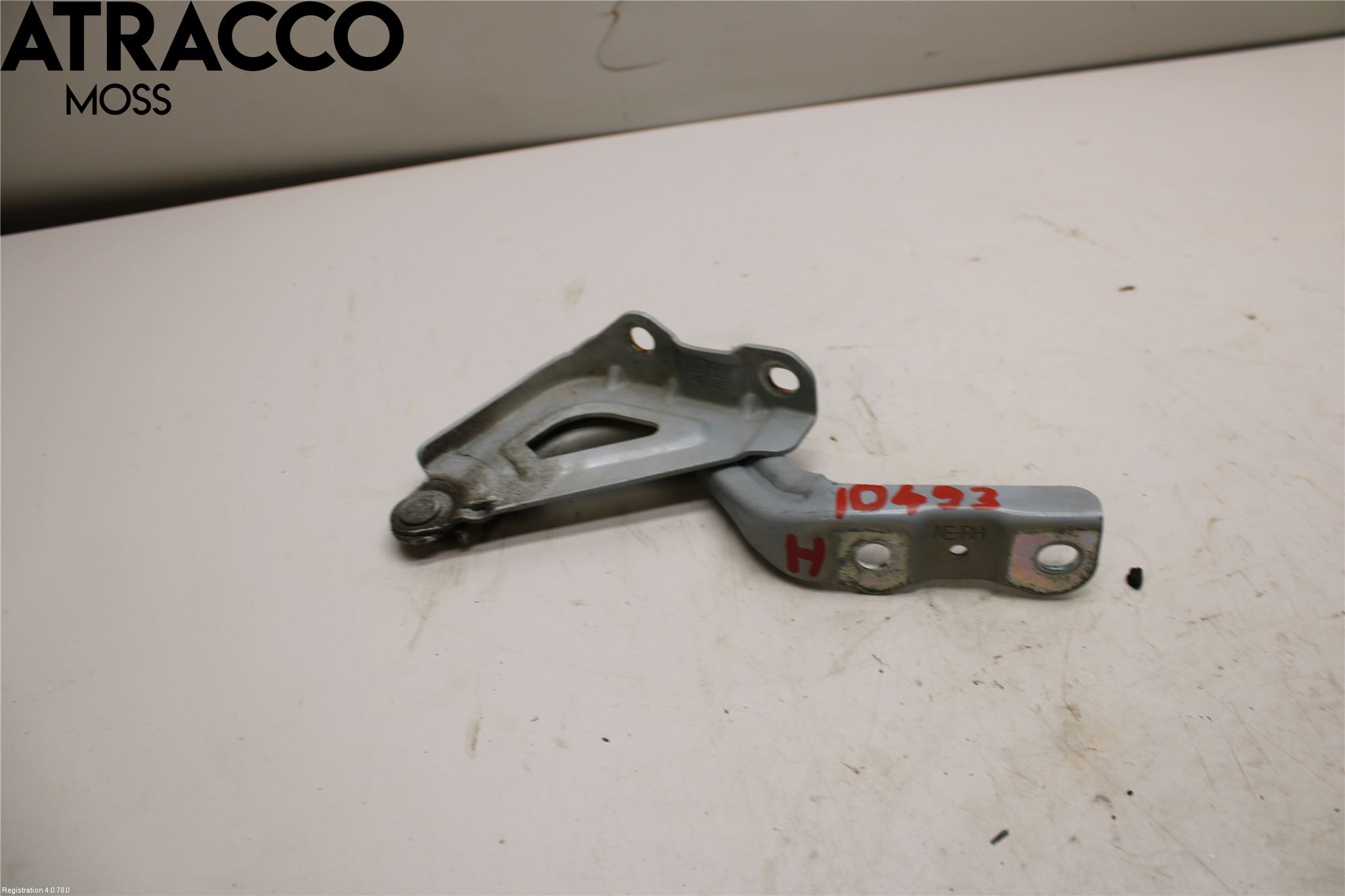 Hyundai IONIQ AE 17-22 Panser Hengsel - Hengsler