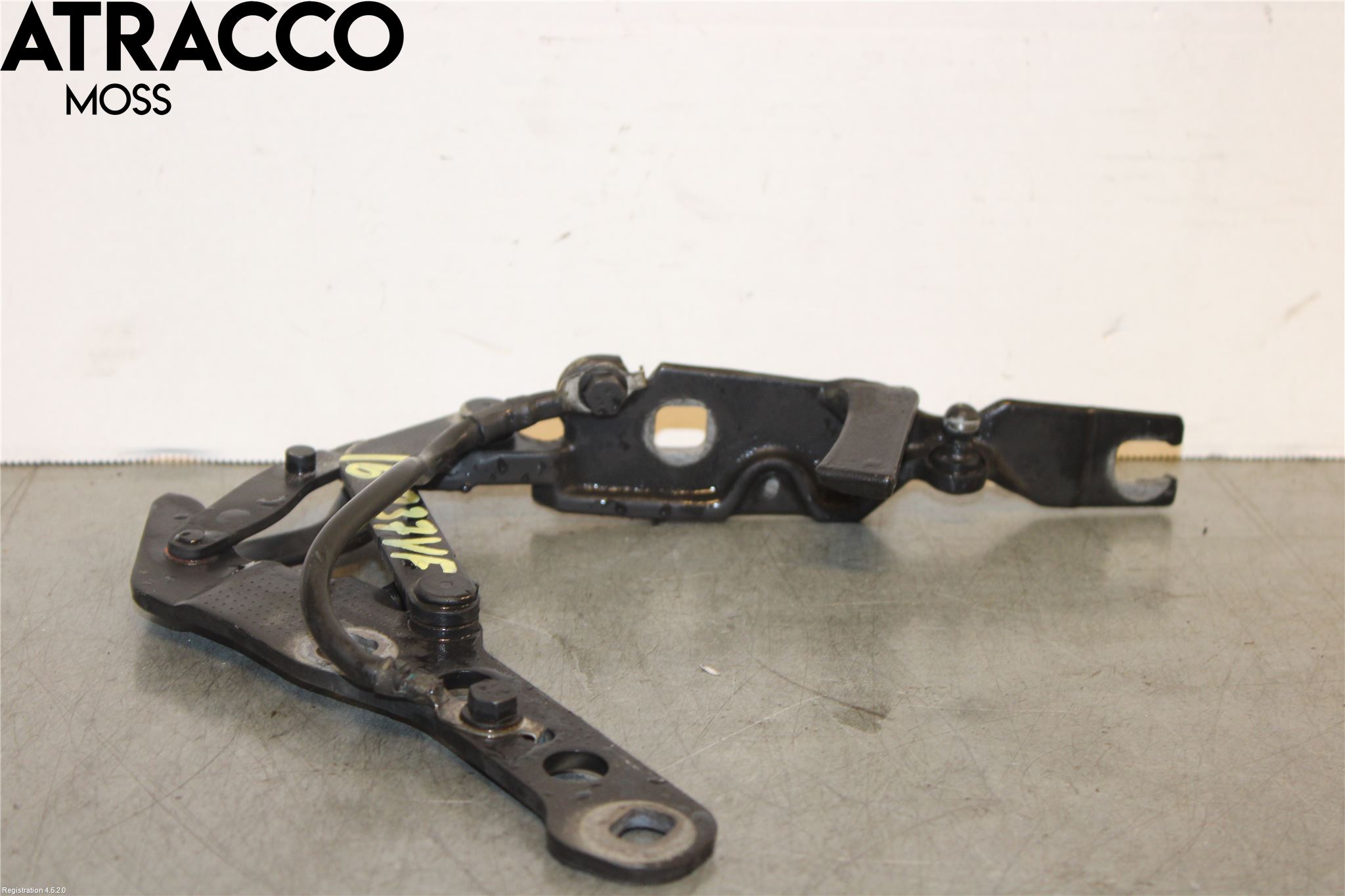 BMW X3 E83     03-10 Panser Hengsel - Hengsler