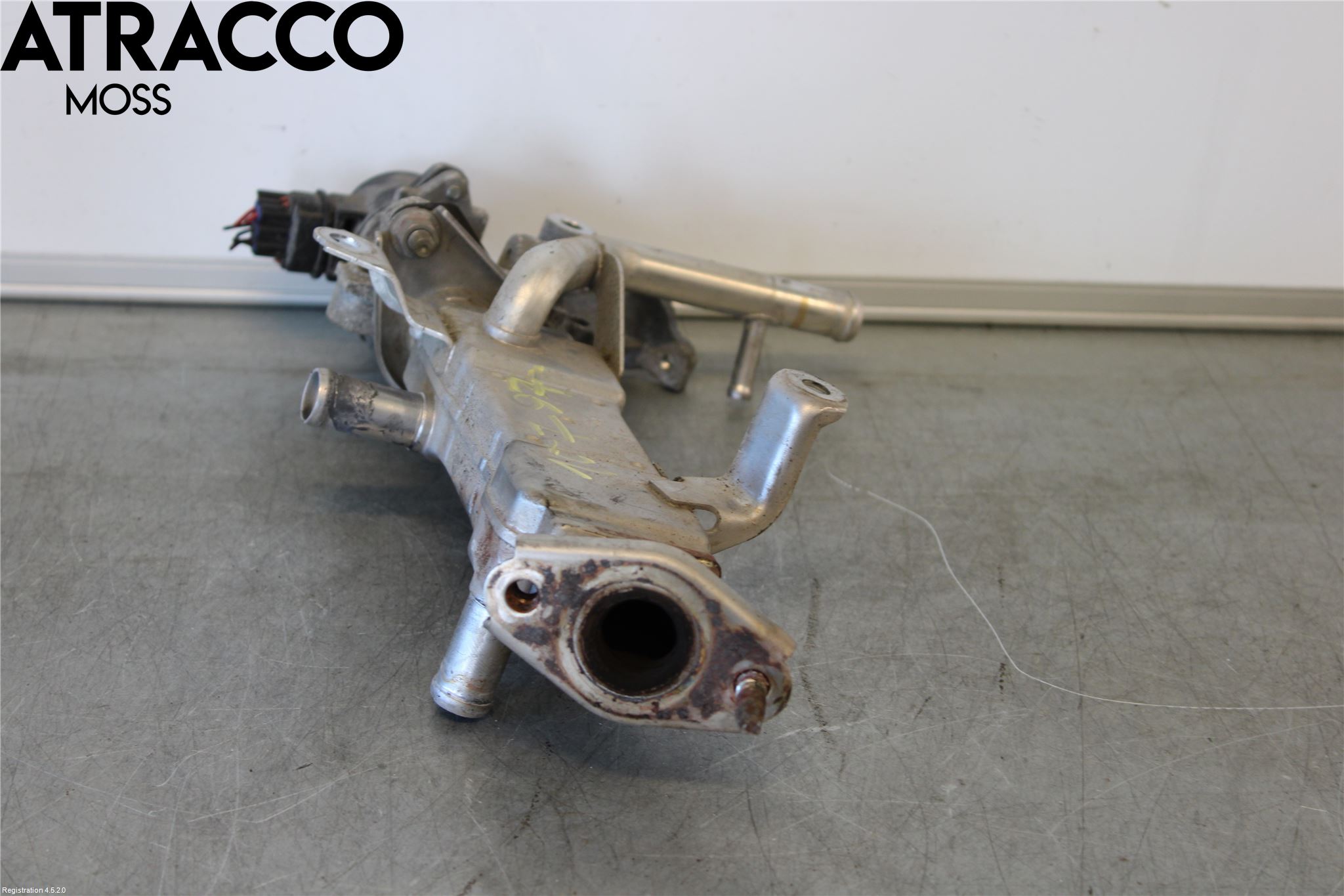 Toyota AURIS 13-19 Eksos Kjøler