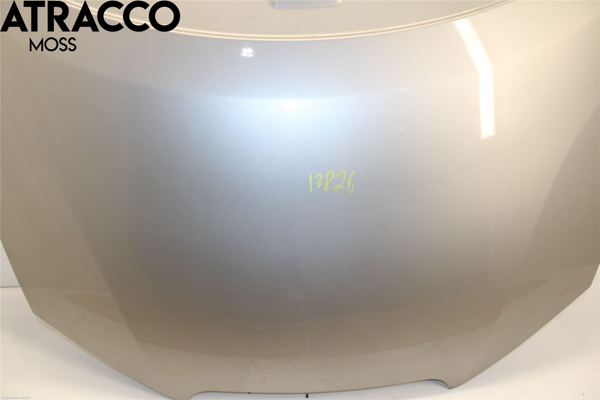 Nissan LEAF 11-17 Panser