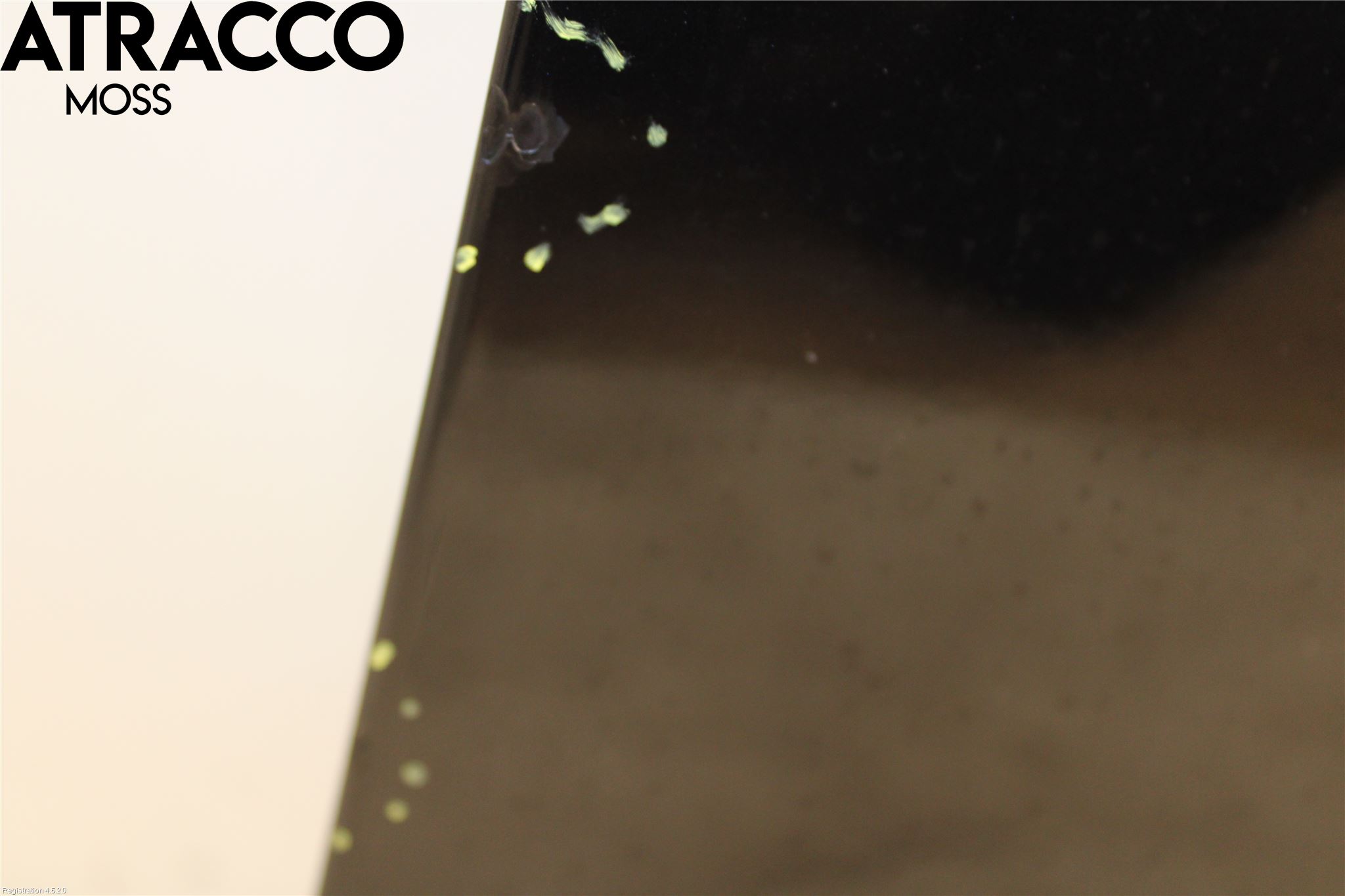 BMW 5 E60/61 Sed/Tou 02-10 Dør 4D Foran Høyre