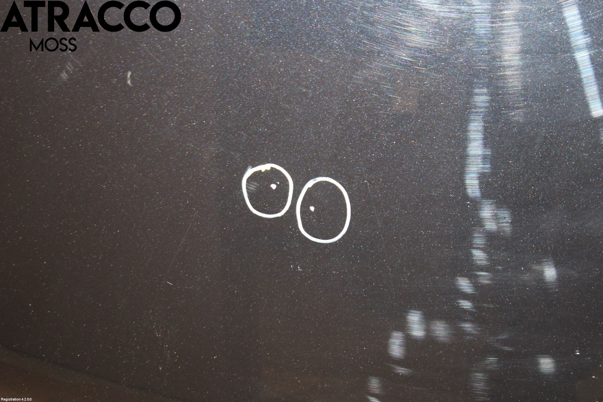 Audi Q5 09-16 Panser