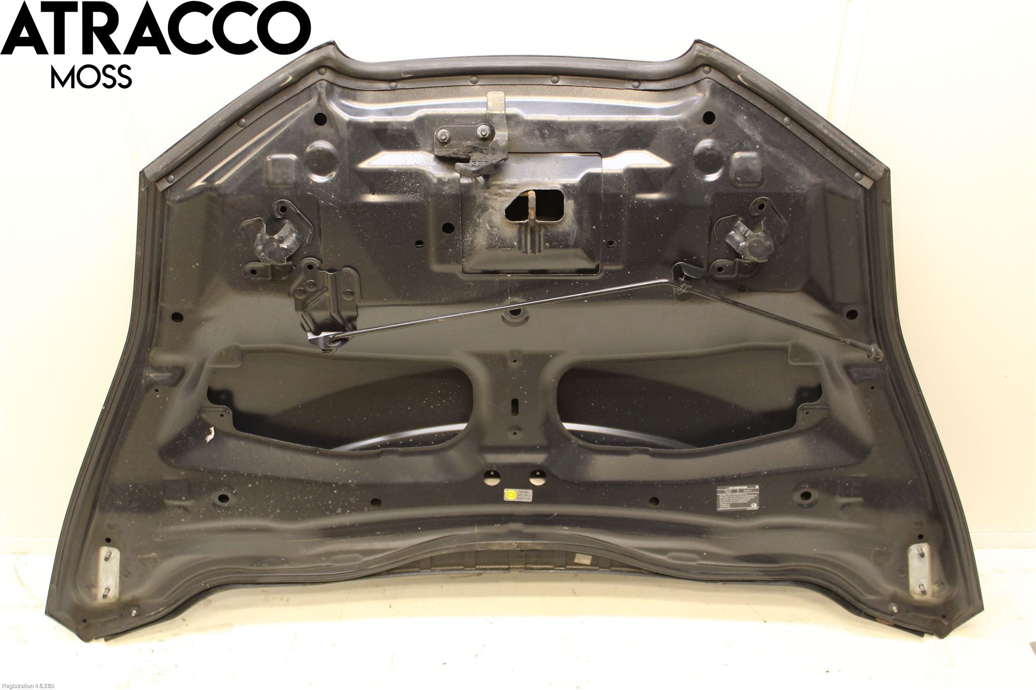 Nissan LEAF 11-17 Panser