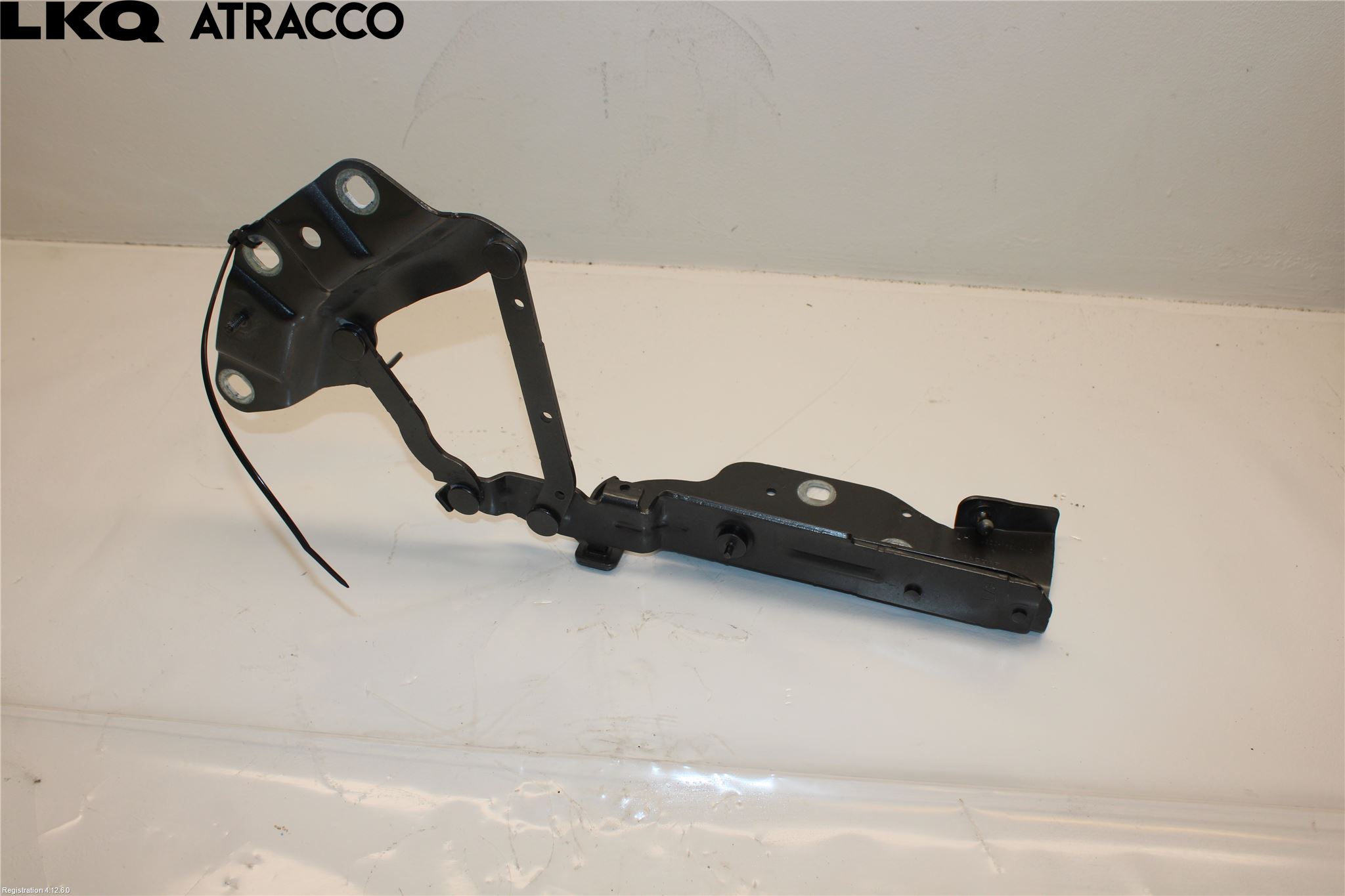 Jaguar I-PACE 18- Panser Hengsel - Hengsler