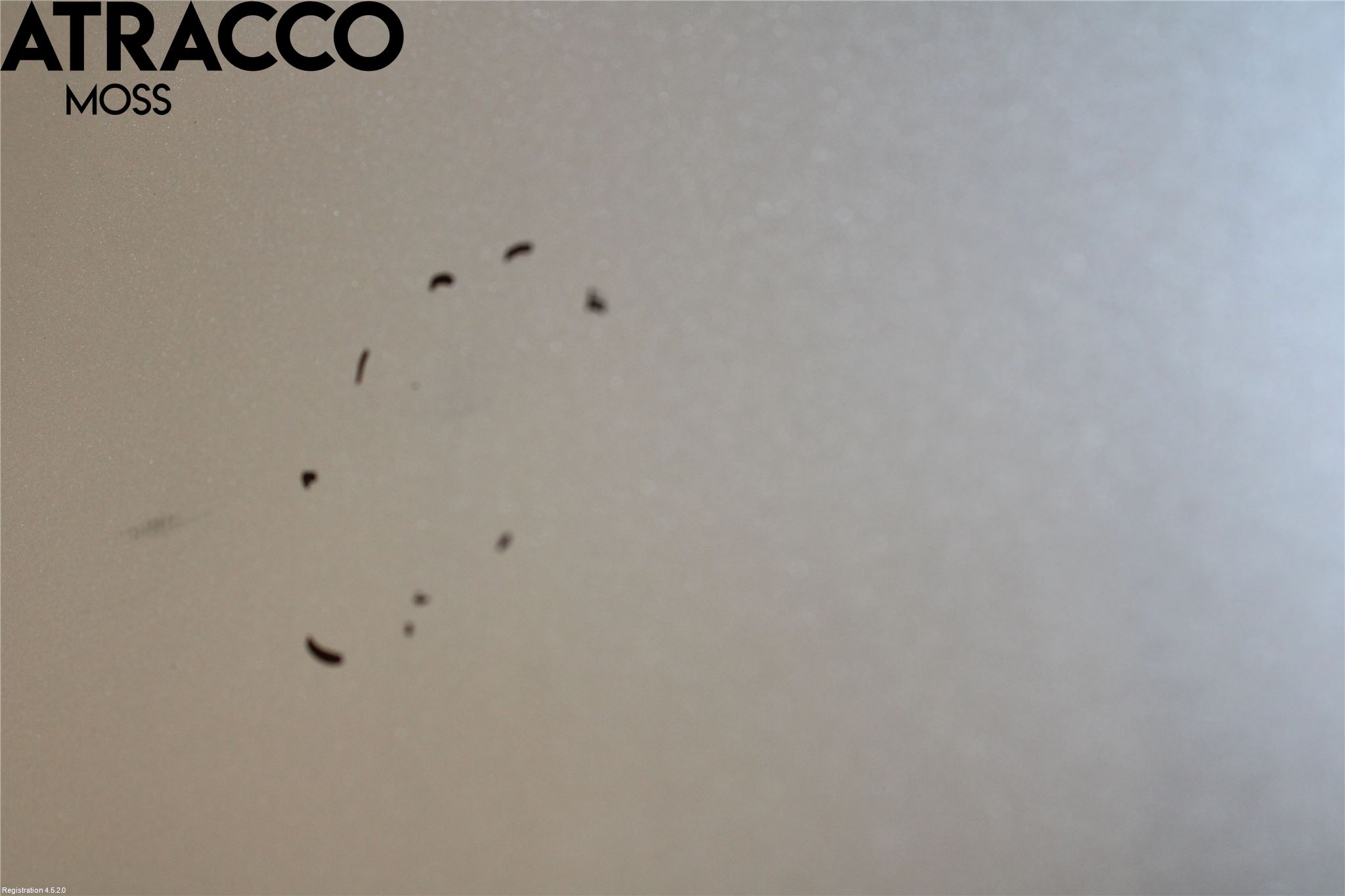 Opel INSIGNIA 09-16 Panser