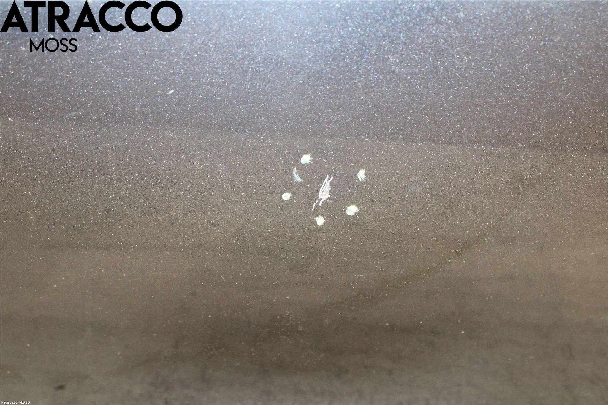 Ford S-MAX 06-15 Dør 4D Foran Venstre