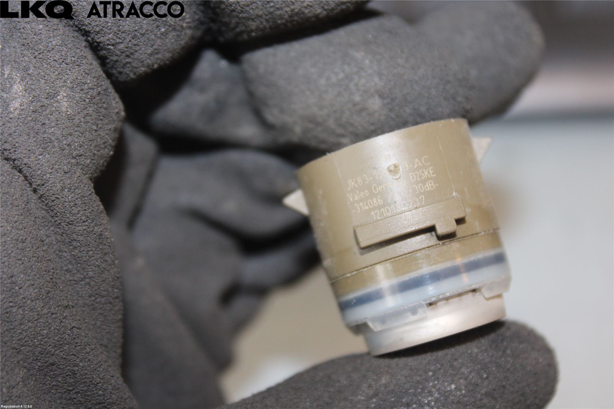 Jaguar F-PACE Sensor Ryggesensor