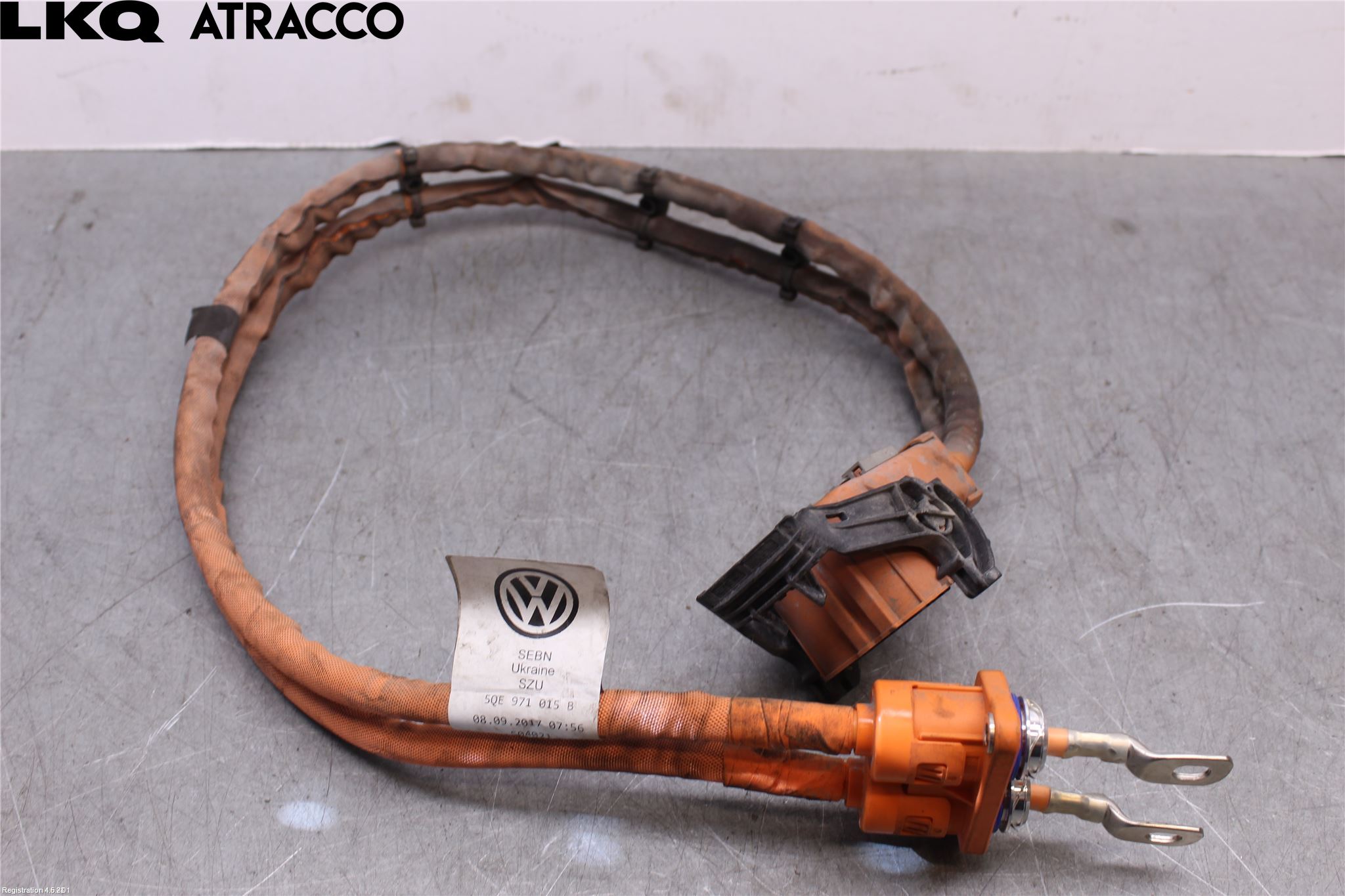 Volkswagen VW GOLF / E-GOLF VII 13-20 Ledningsnett